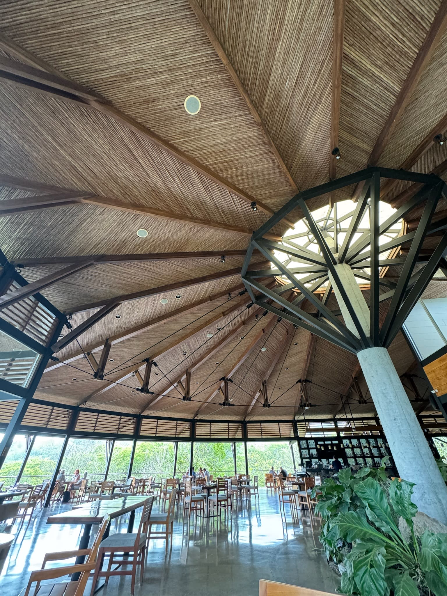 Costa Rica's Hidden Gem: Rio Perdido