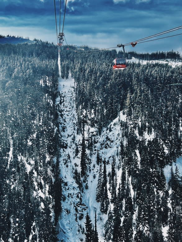 Advisor - Winter Wonders in Whistler: Where Adventure, Culture and Respite Meet