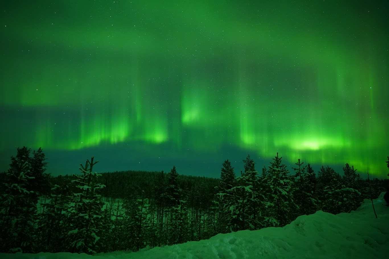 Advisor - Finnish and Swedish Laplands: Why You Visit in Winter