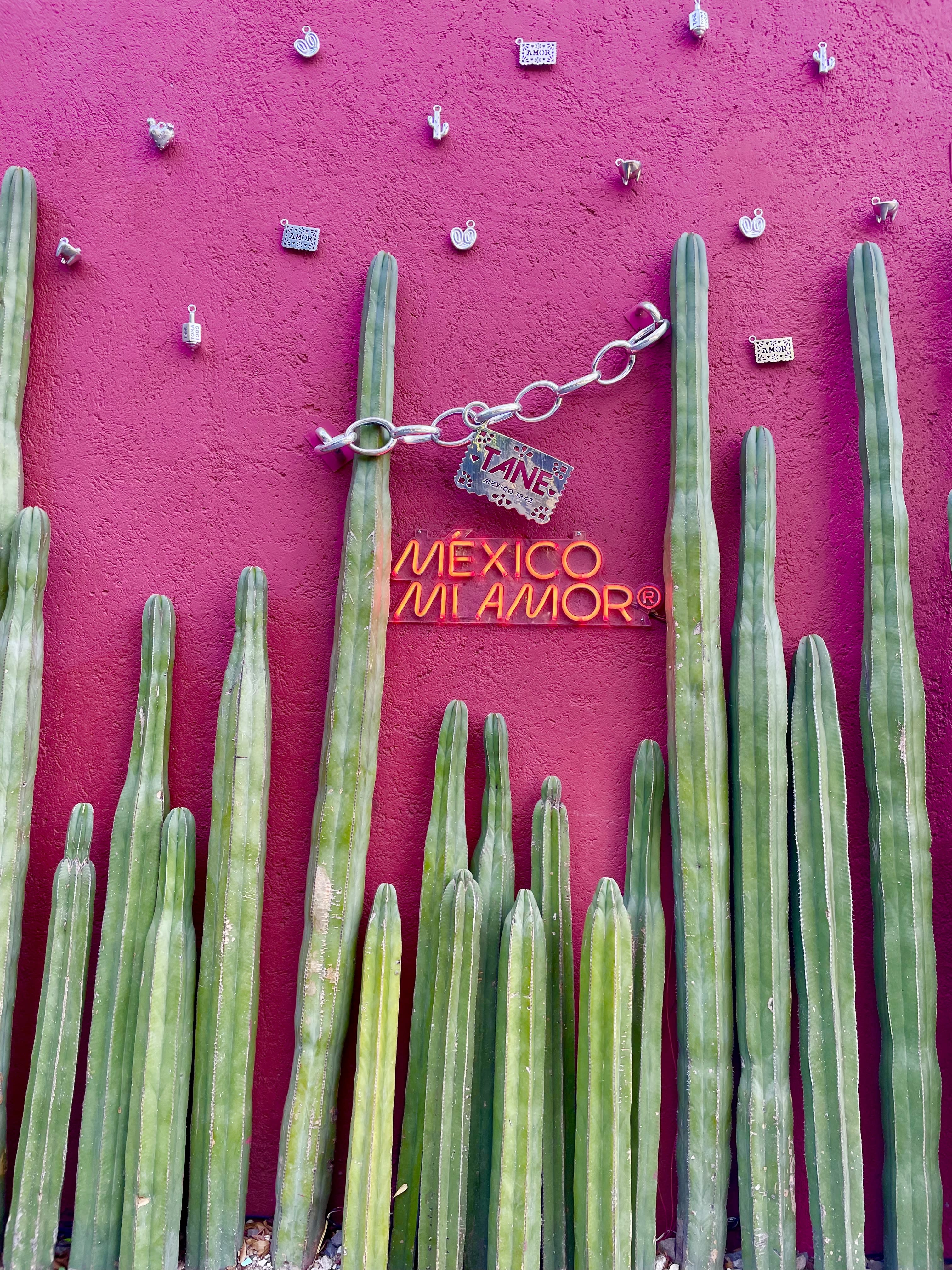 Advisor - Mexico City Travel Guide: Food, Culture & Adventure
