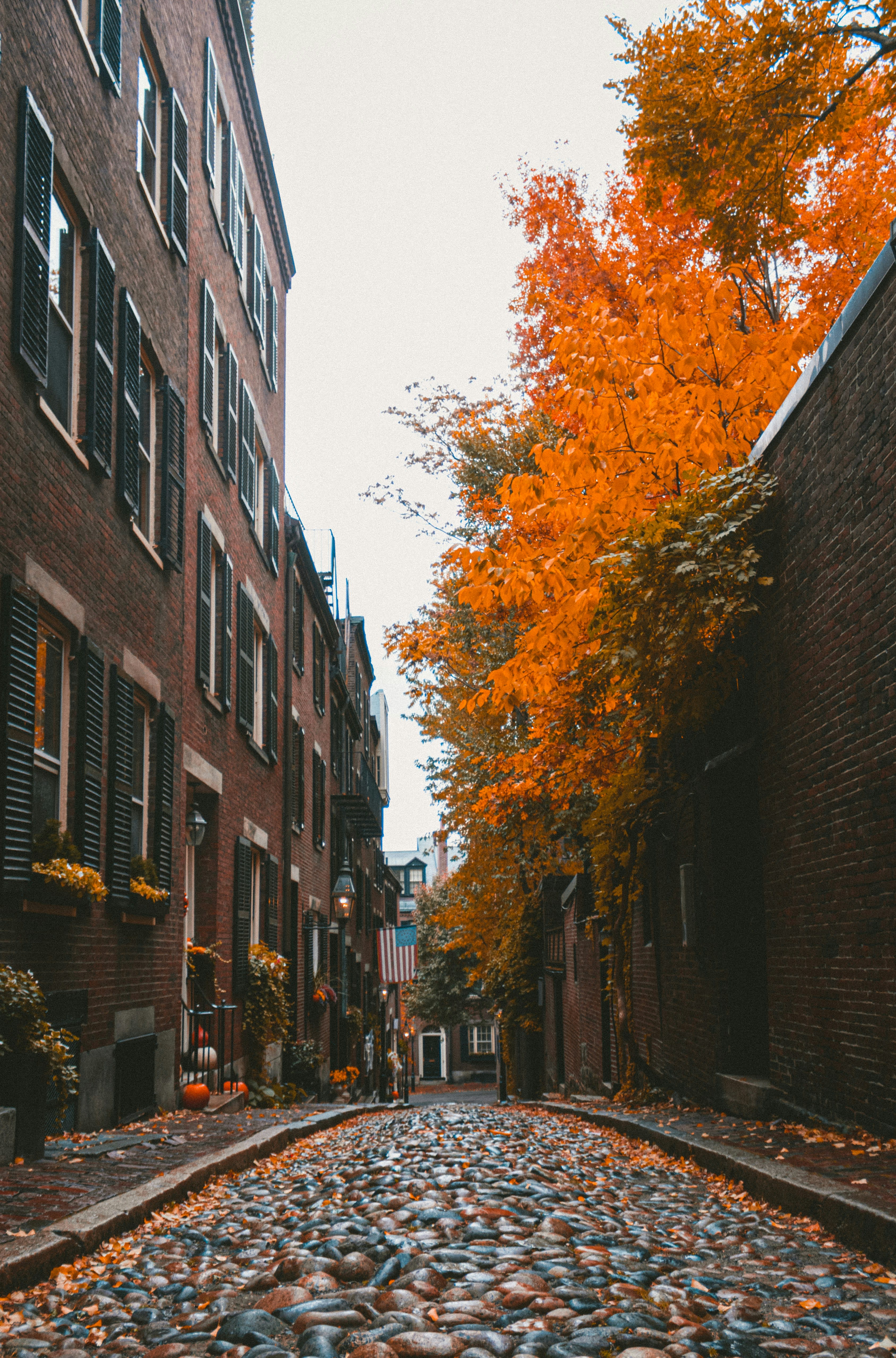 Advisor - Boston Uncovered: History, Culture & Food with a Local’s Touch