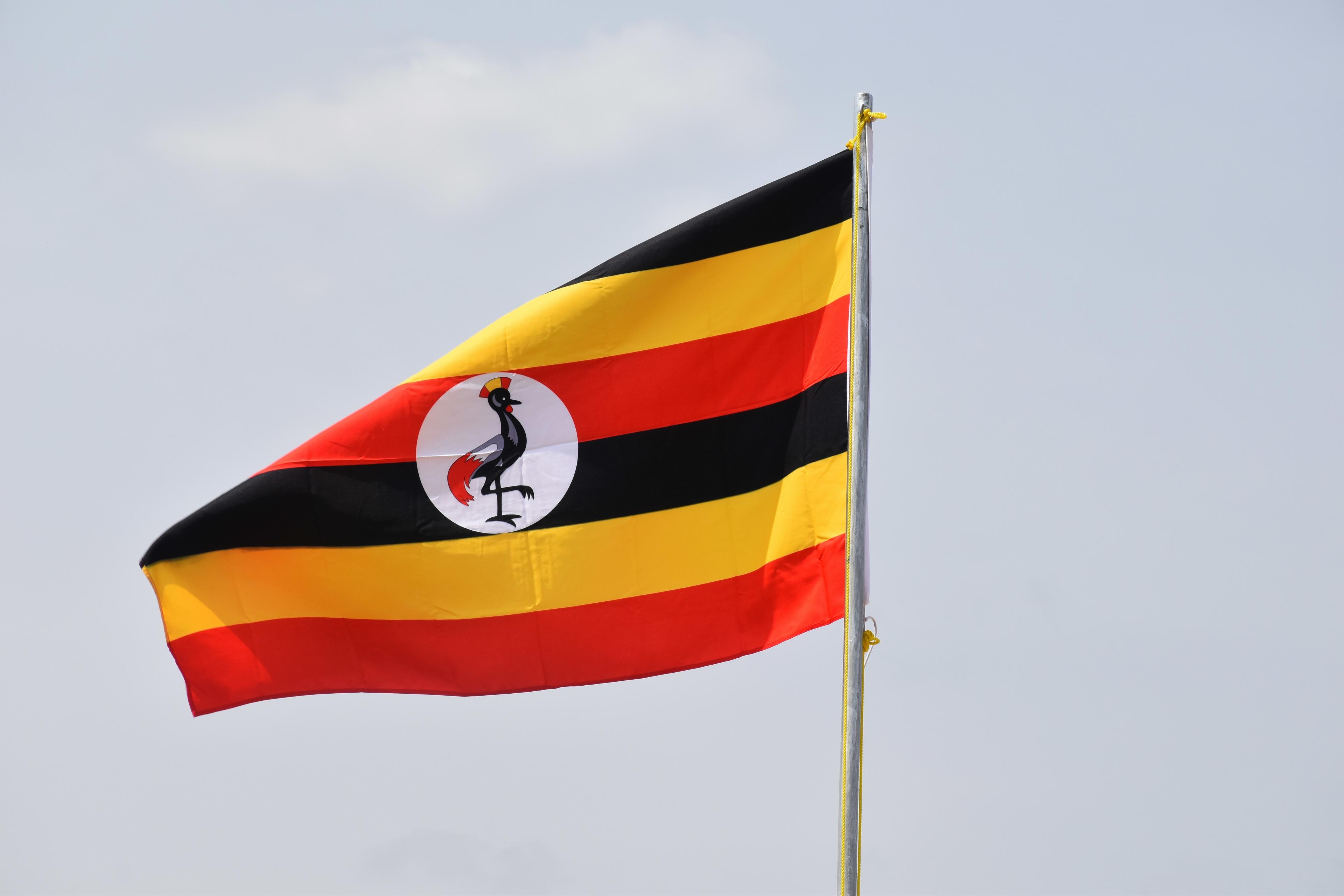 Discovering Kampala, Uganda with Hornbill Treks & Safaris