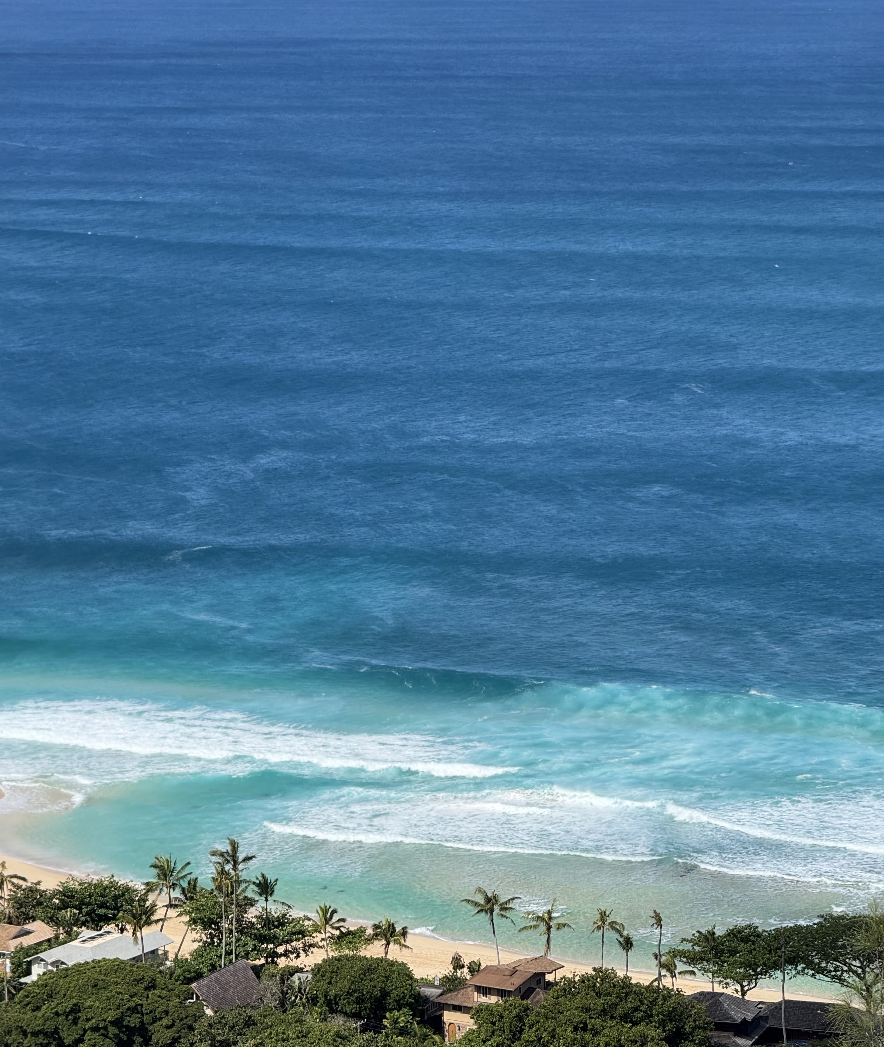 Advisor - Luxury Stay, Local Experience: The Best of Both on Oahu