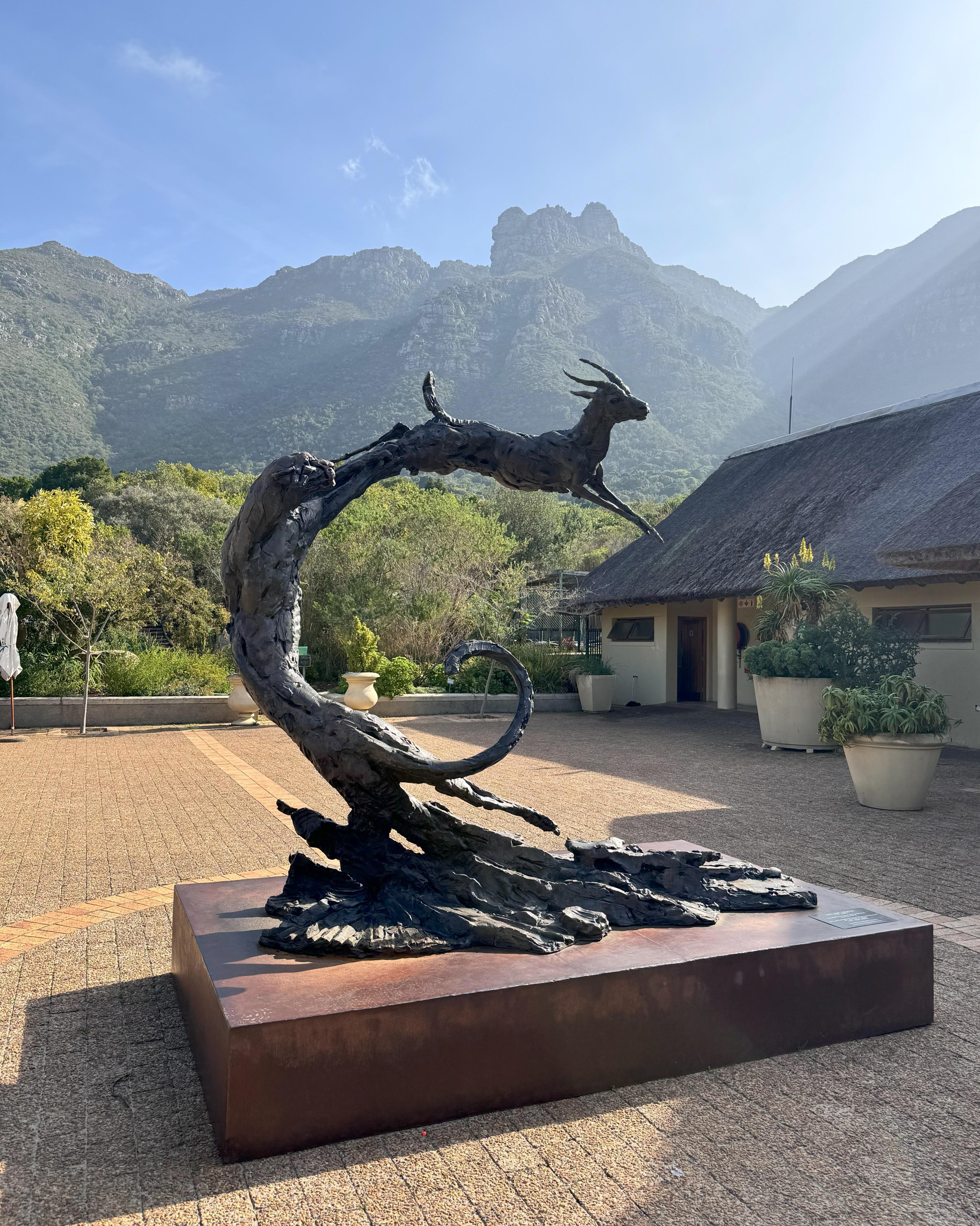 Advisor - Cape Town in 6 Days