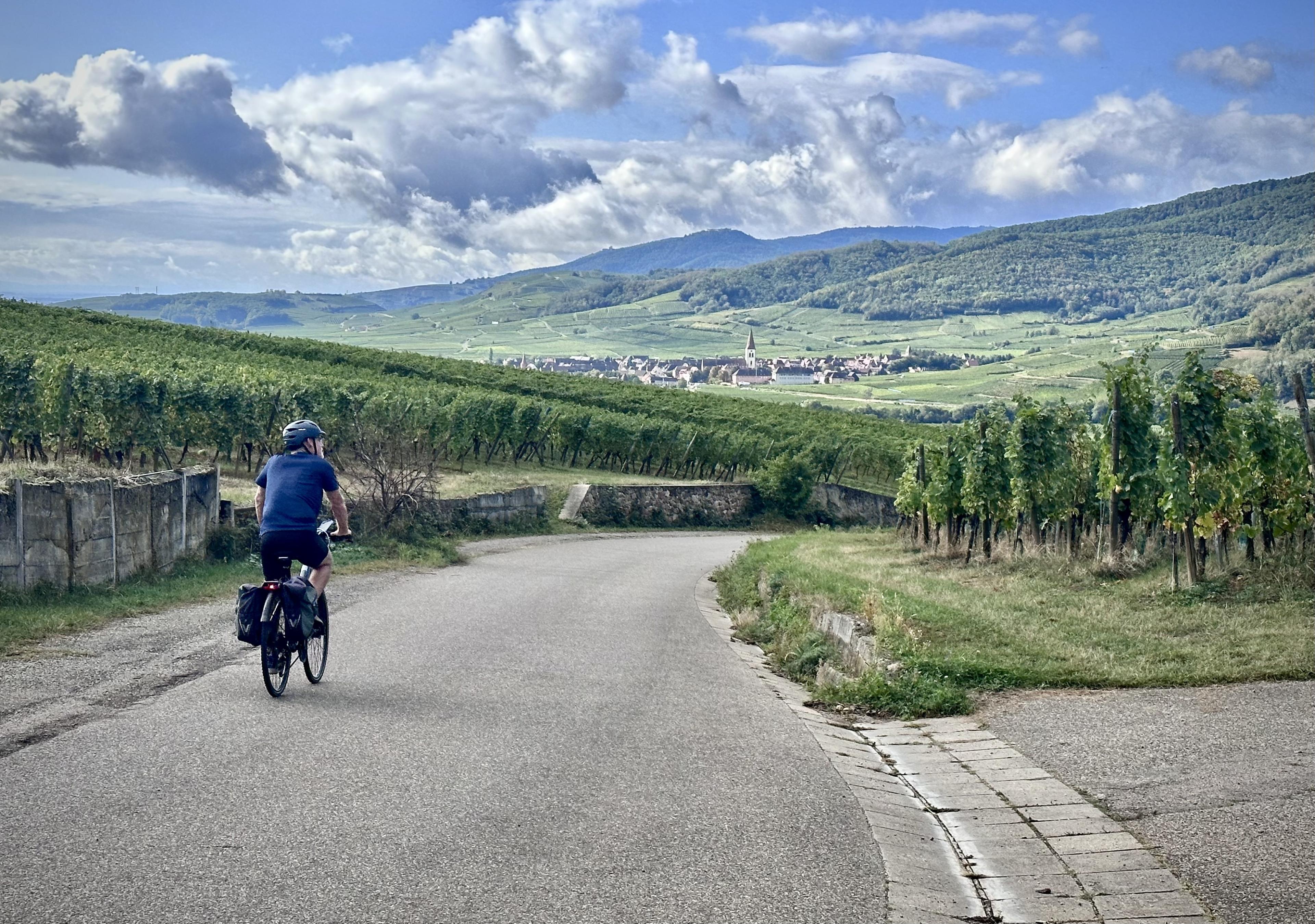 Advisor - The Wine Route of Alsace: A Cycling Guide