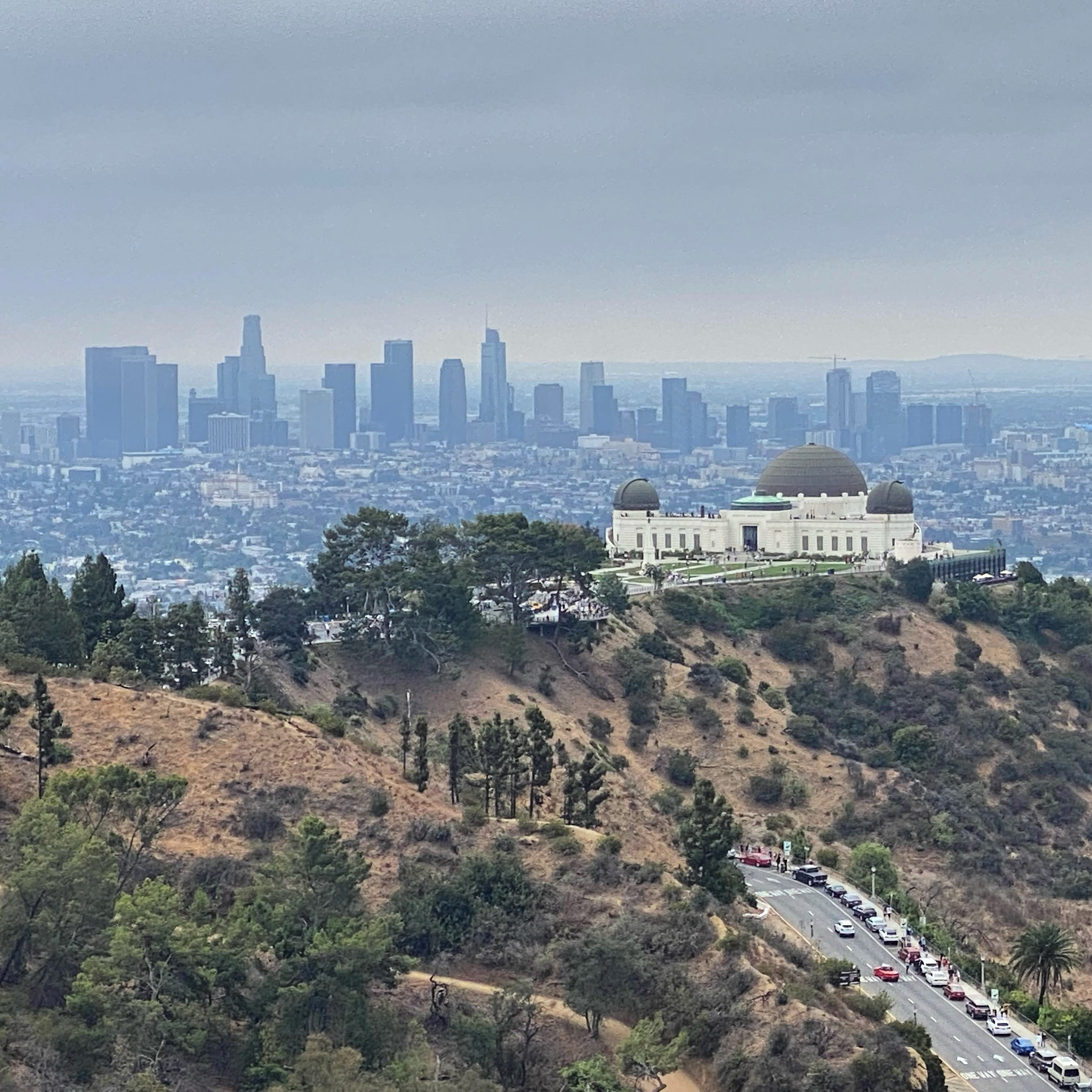 Advisor - A Local’s Guide to Art, Entertainment and Dining in Los Angeles