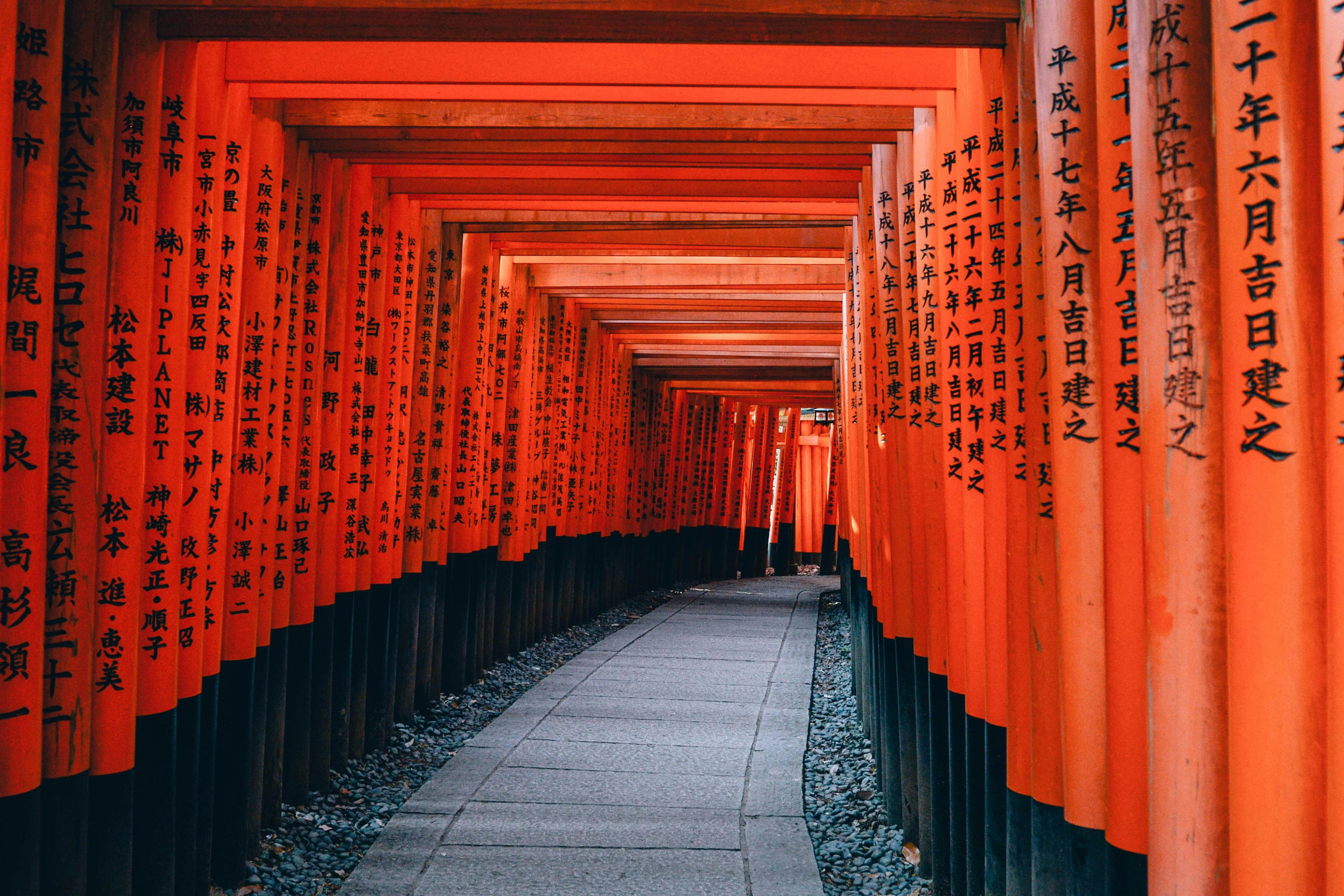 Advisor - From Tokyo to Kyoto: A Honeymoon Steeped in Flavor & Romance
