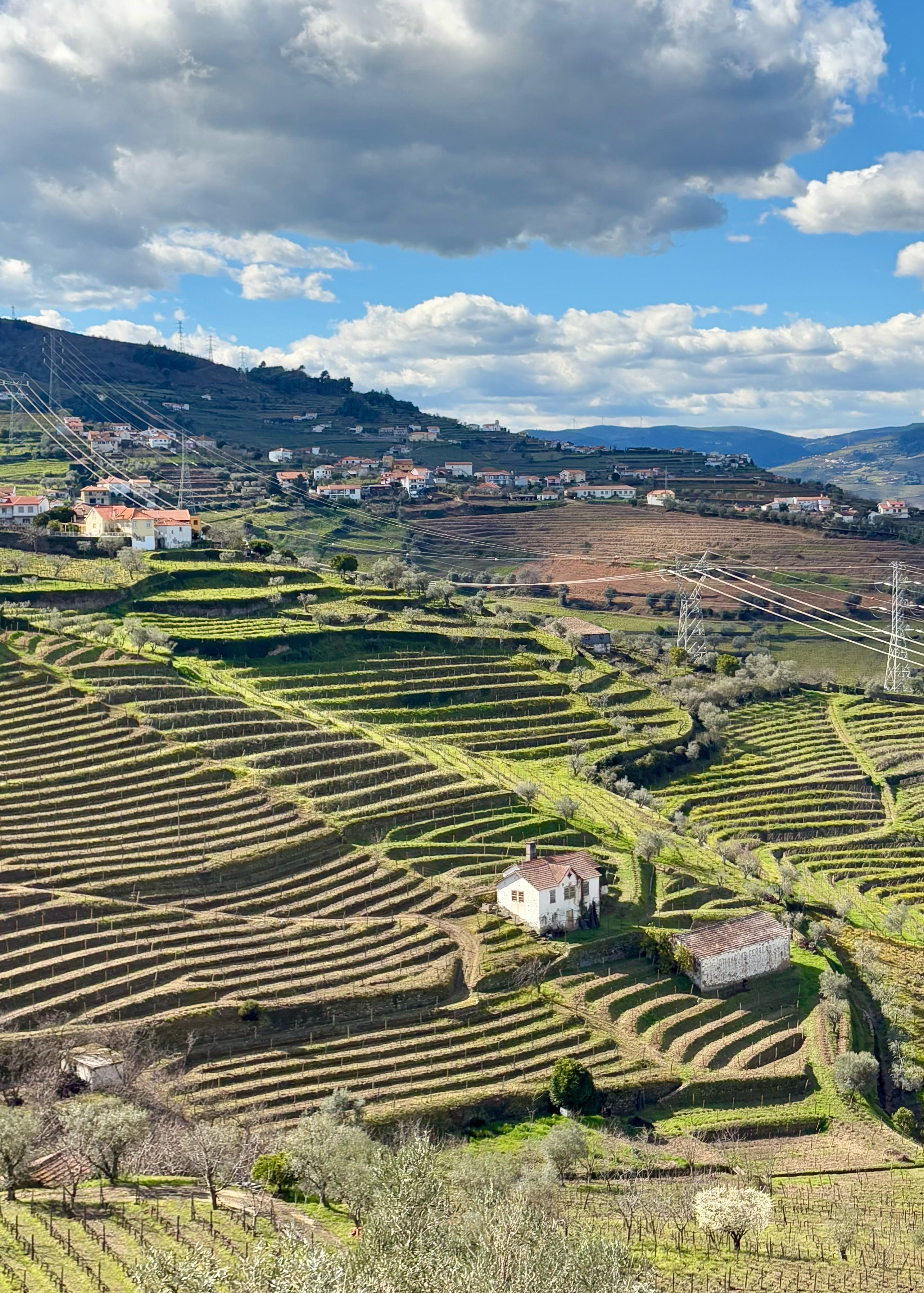 Two Nights at Casal dos Capelinhos - Douro Valley