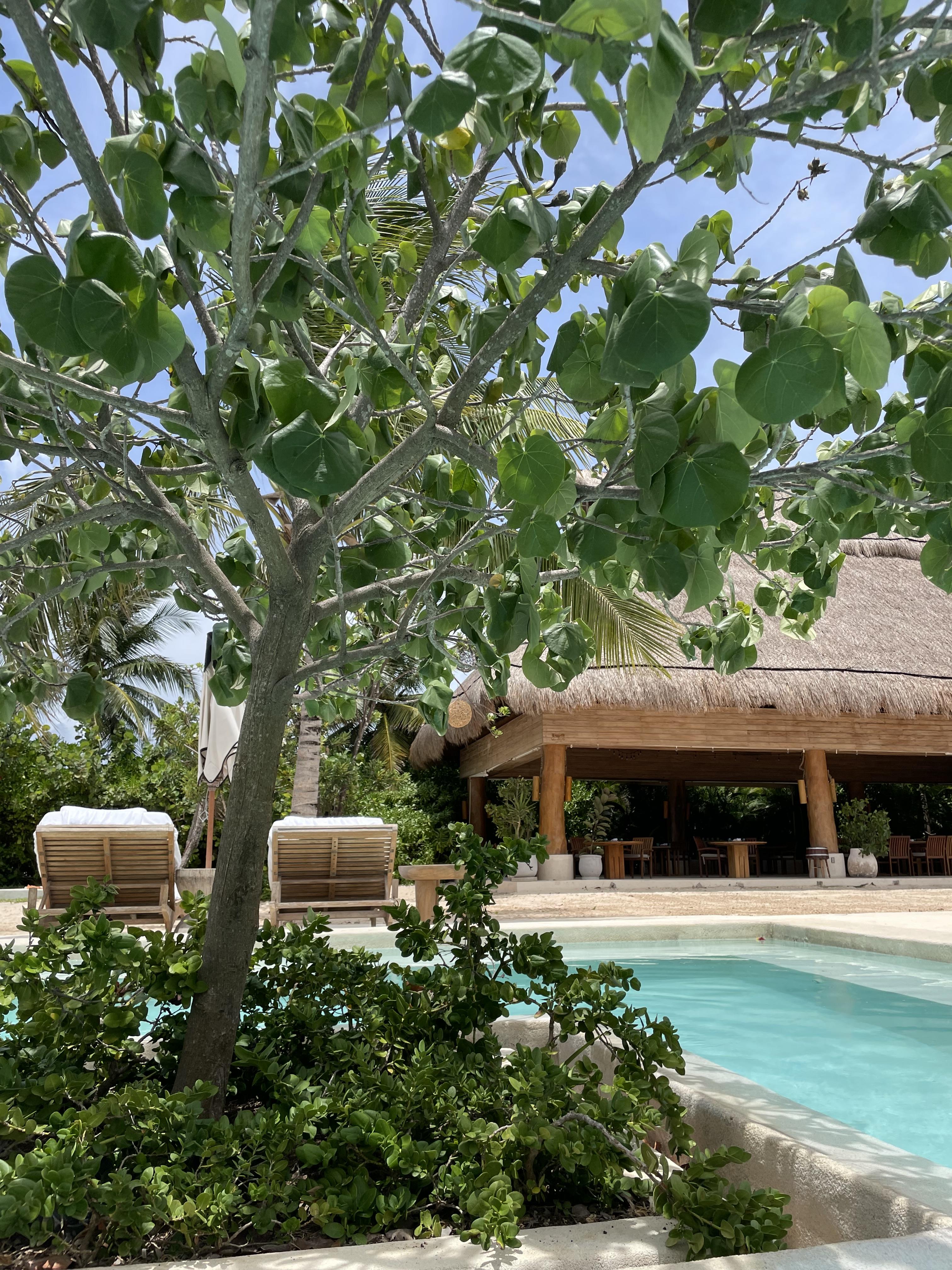 Rosewood Mayakoba in Riviera Maya: My Daughter’s Favorite Vacation