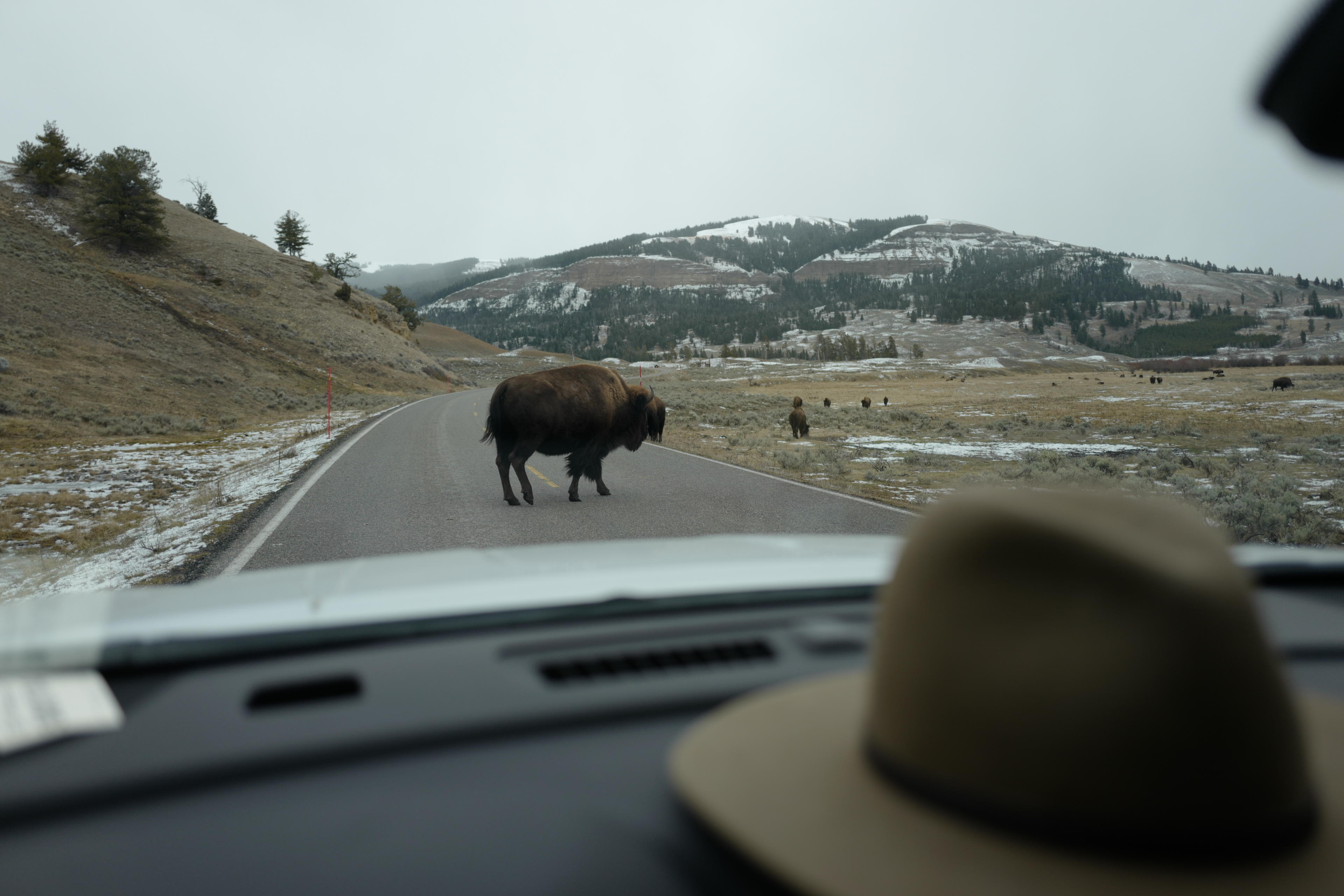 Advisor - Saddle Up in Style: Curated Stays in the American Mountain West