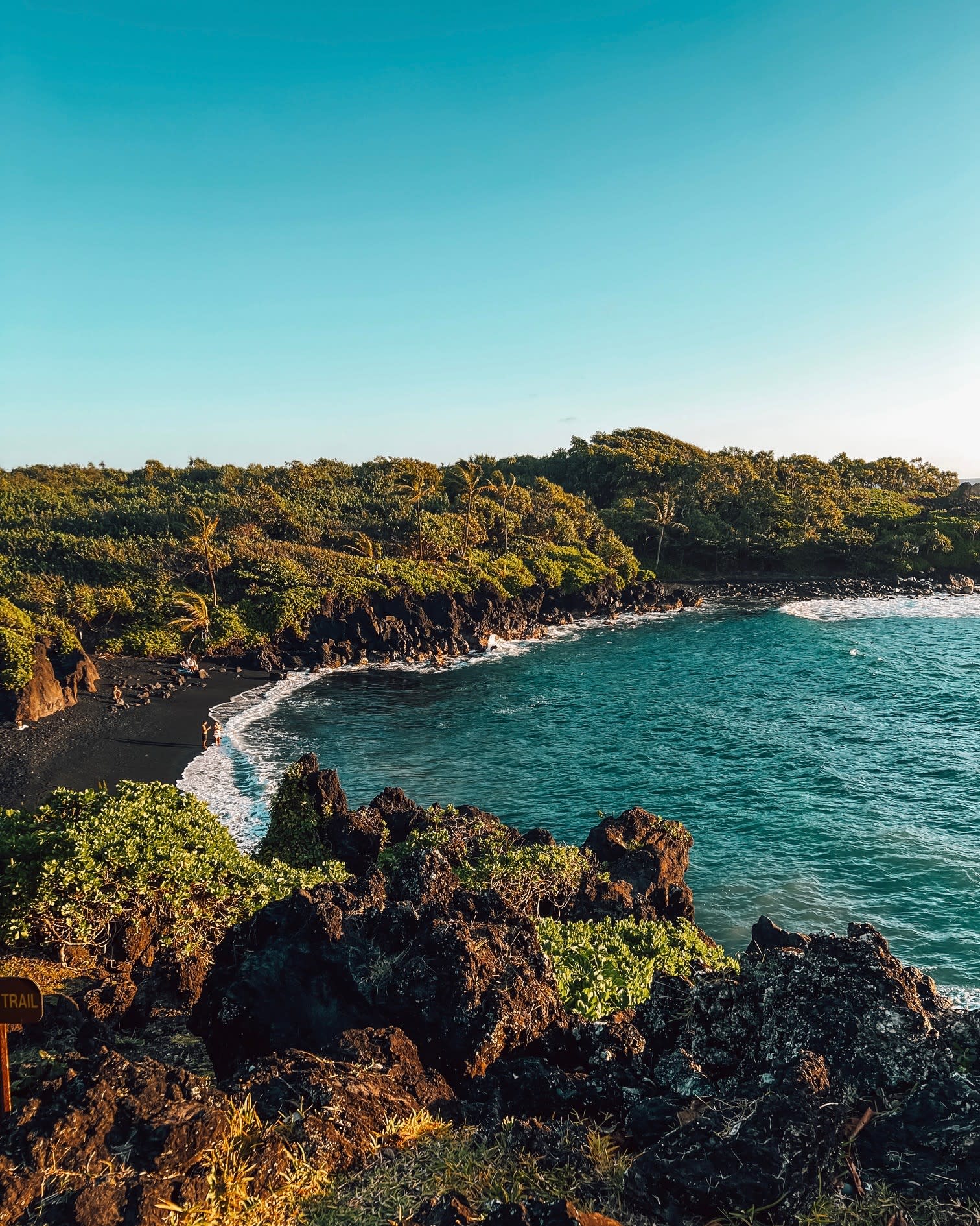 Advisor - Hawaiian Adventures: The Ultimate Guide to Maui
