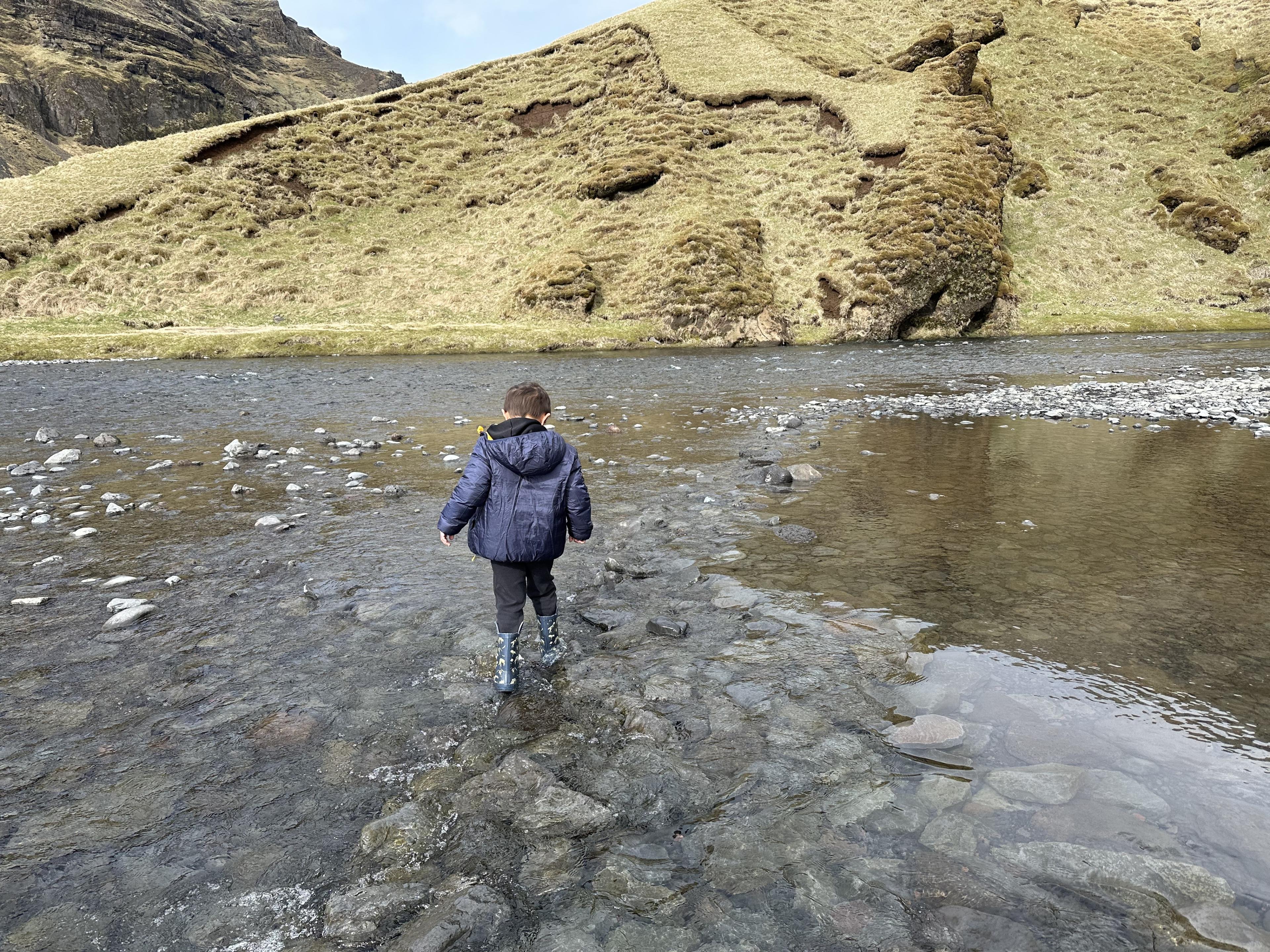Advisor - Reykjavik, Iceland with Young Kids
