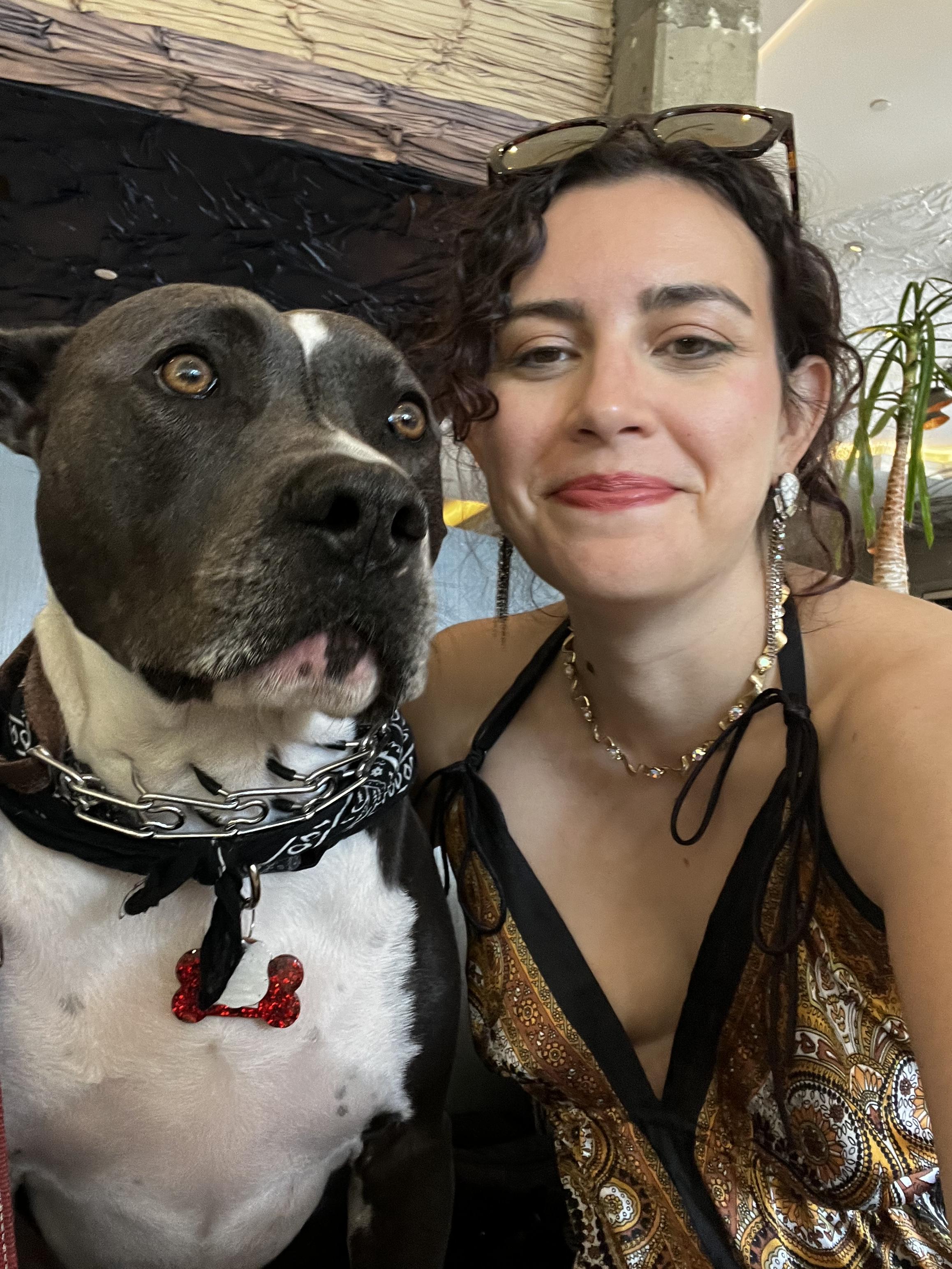 Dog-Friendly Weekend Getaway in Los Angeles