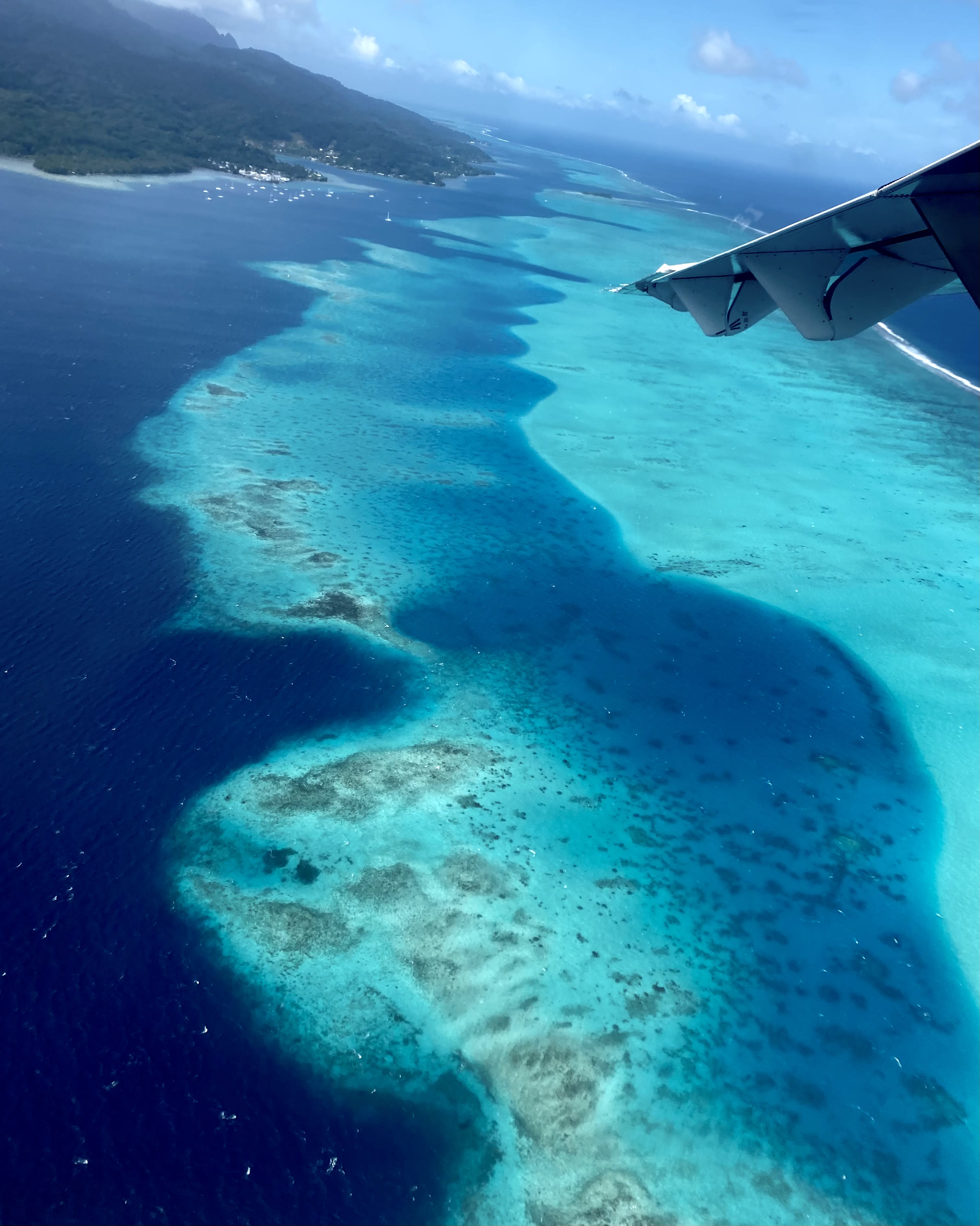 Advisor - Island Hopping 101: Your Perfect Intro to French Polynesia