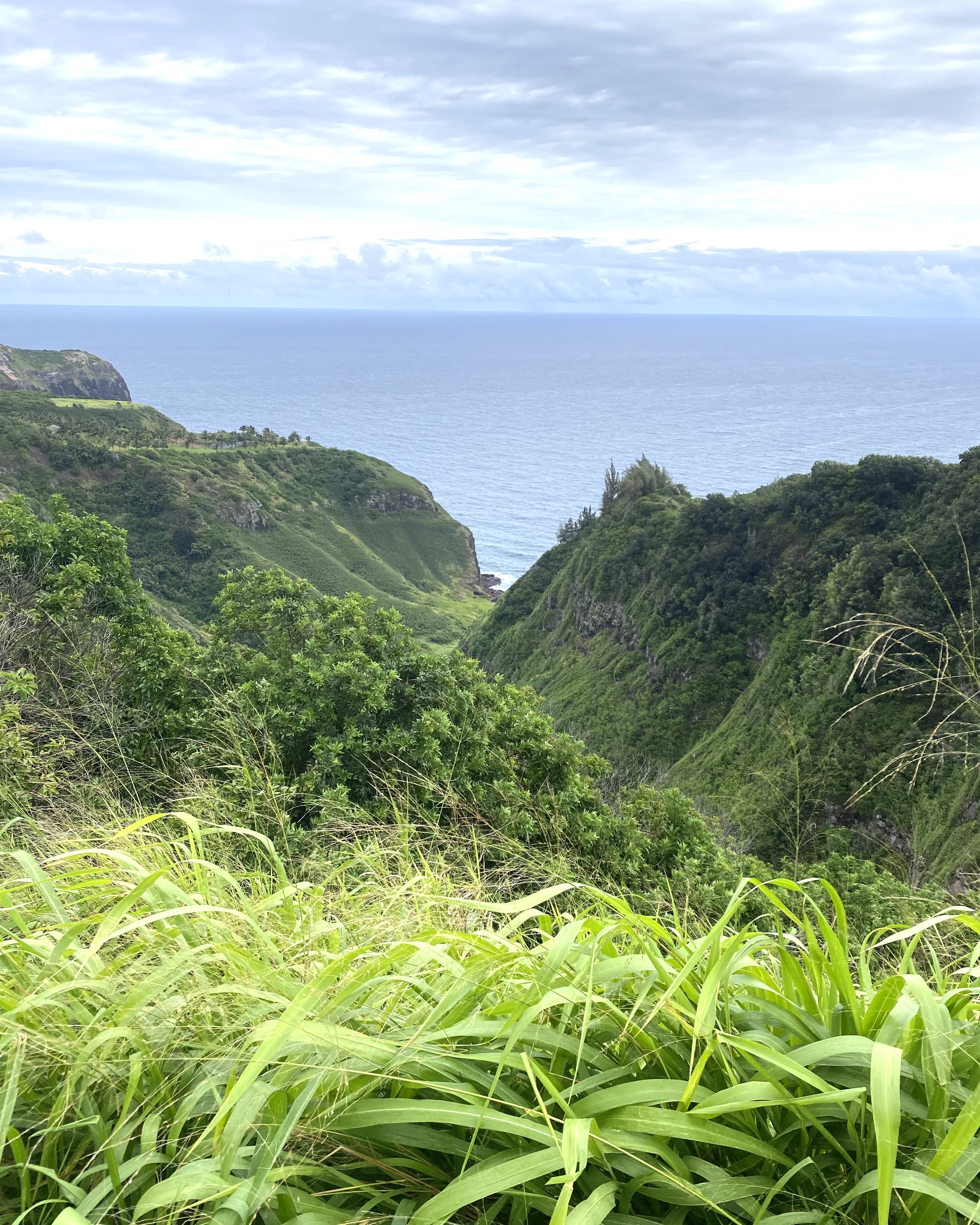 Advisor - Mai Tais & Mile High Views: A Maui State of Mind