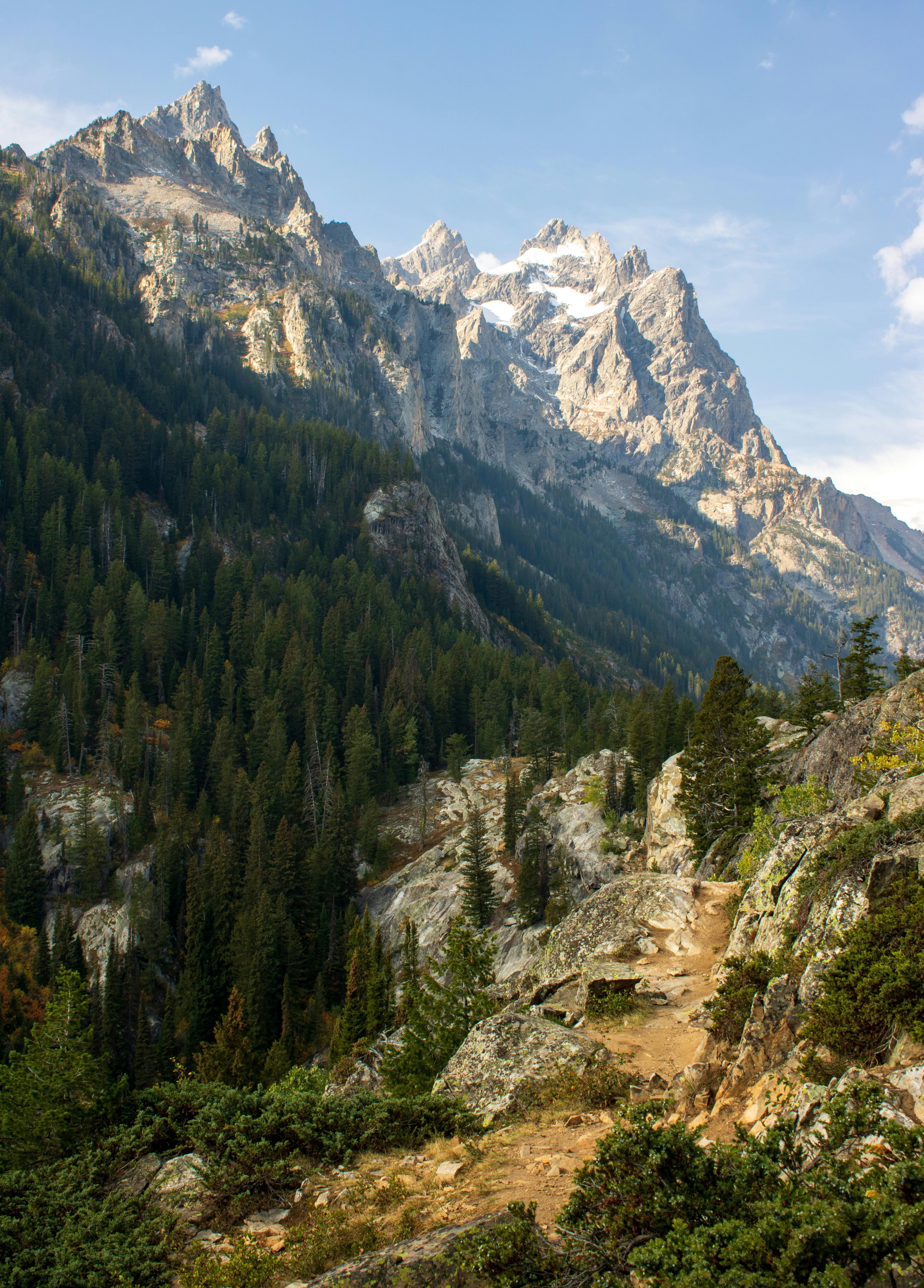 Advisor - Jackson Hole Summer: A Three-Day Itinerary