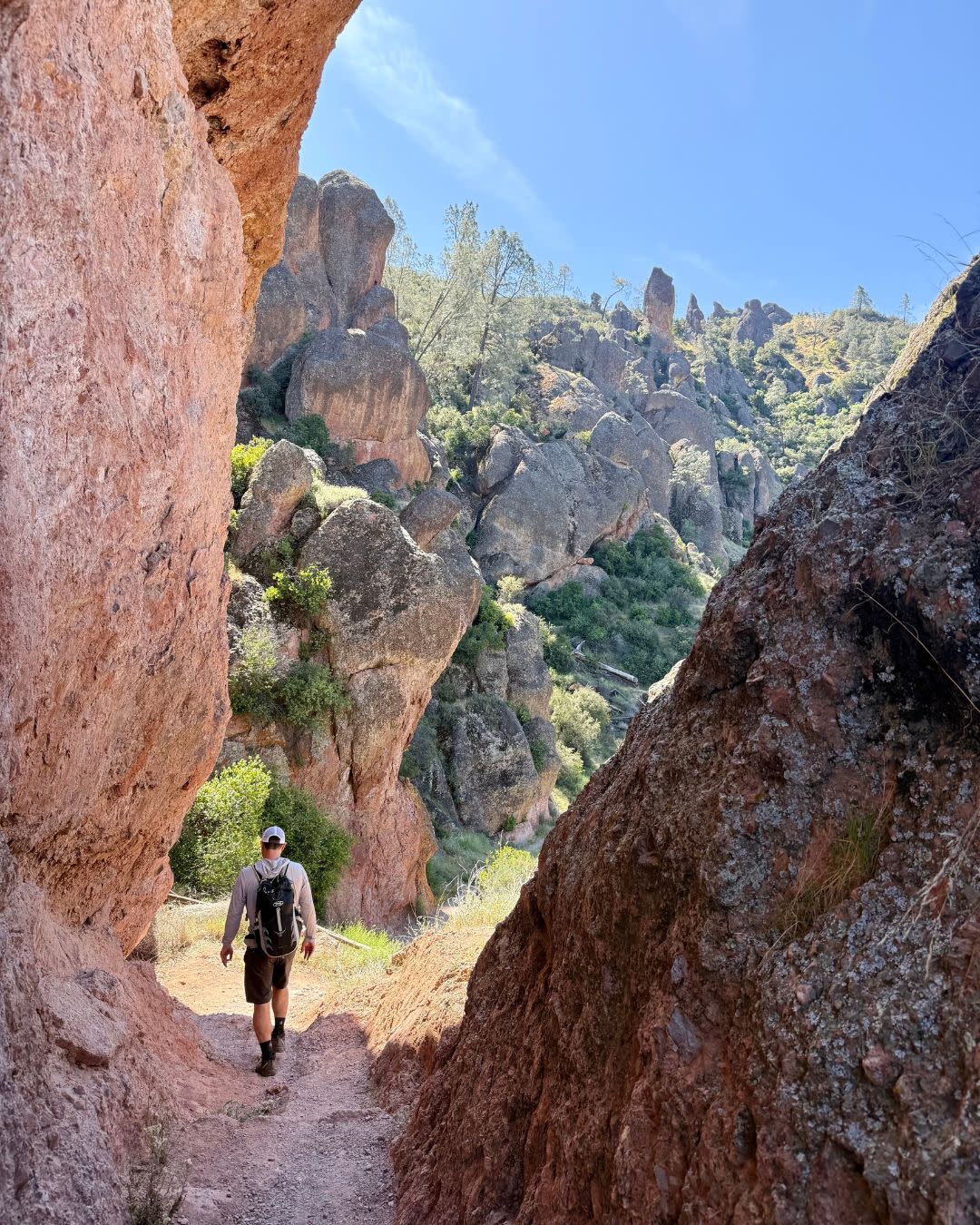 Advisor - A Guide to Pinnacles National Park