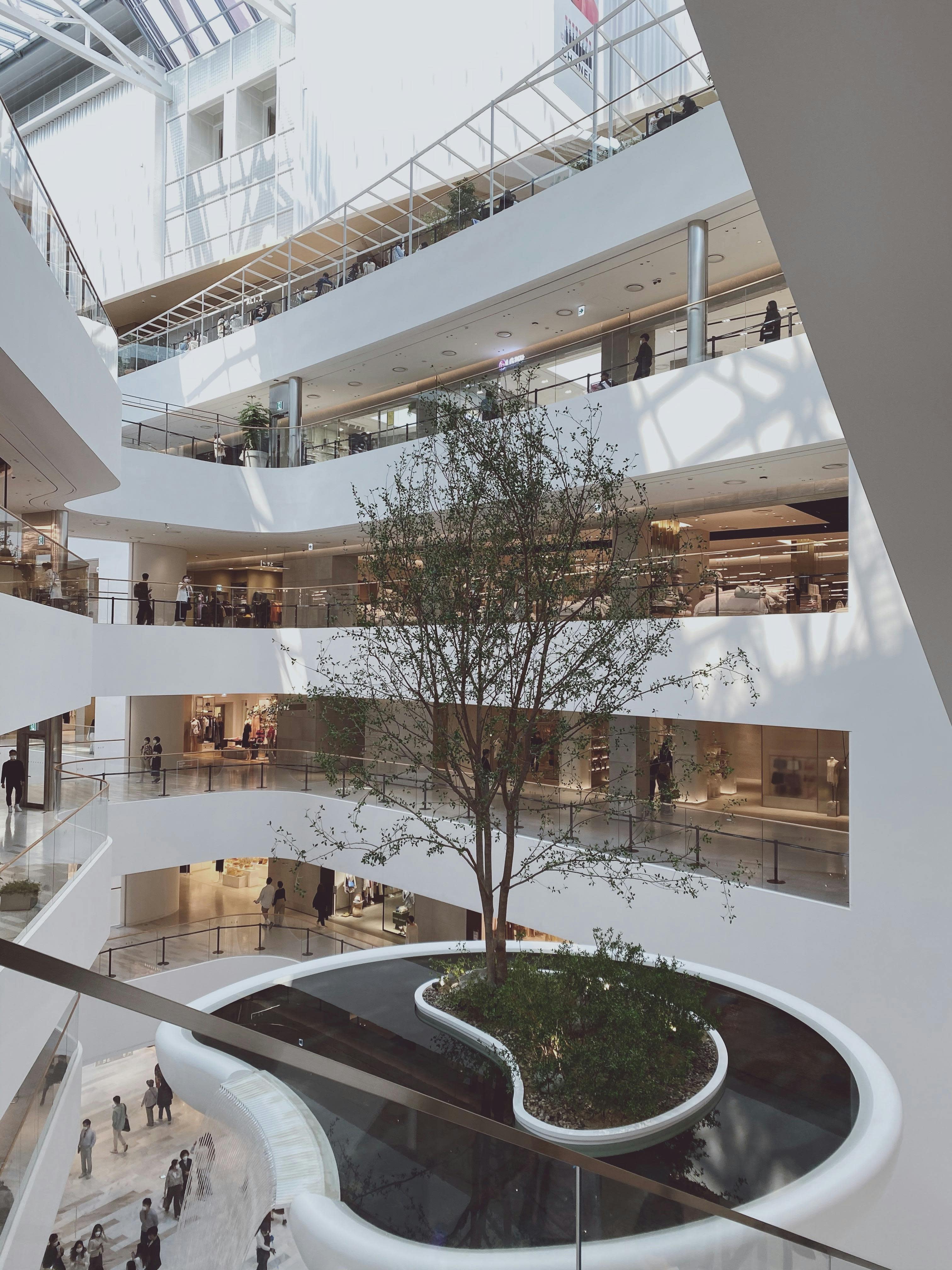 Advisor - Explore Seoul’s Trendiest Shopping District