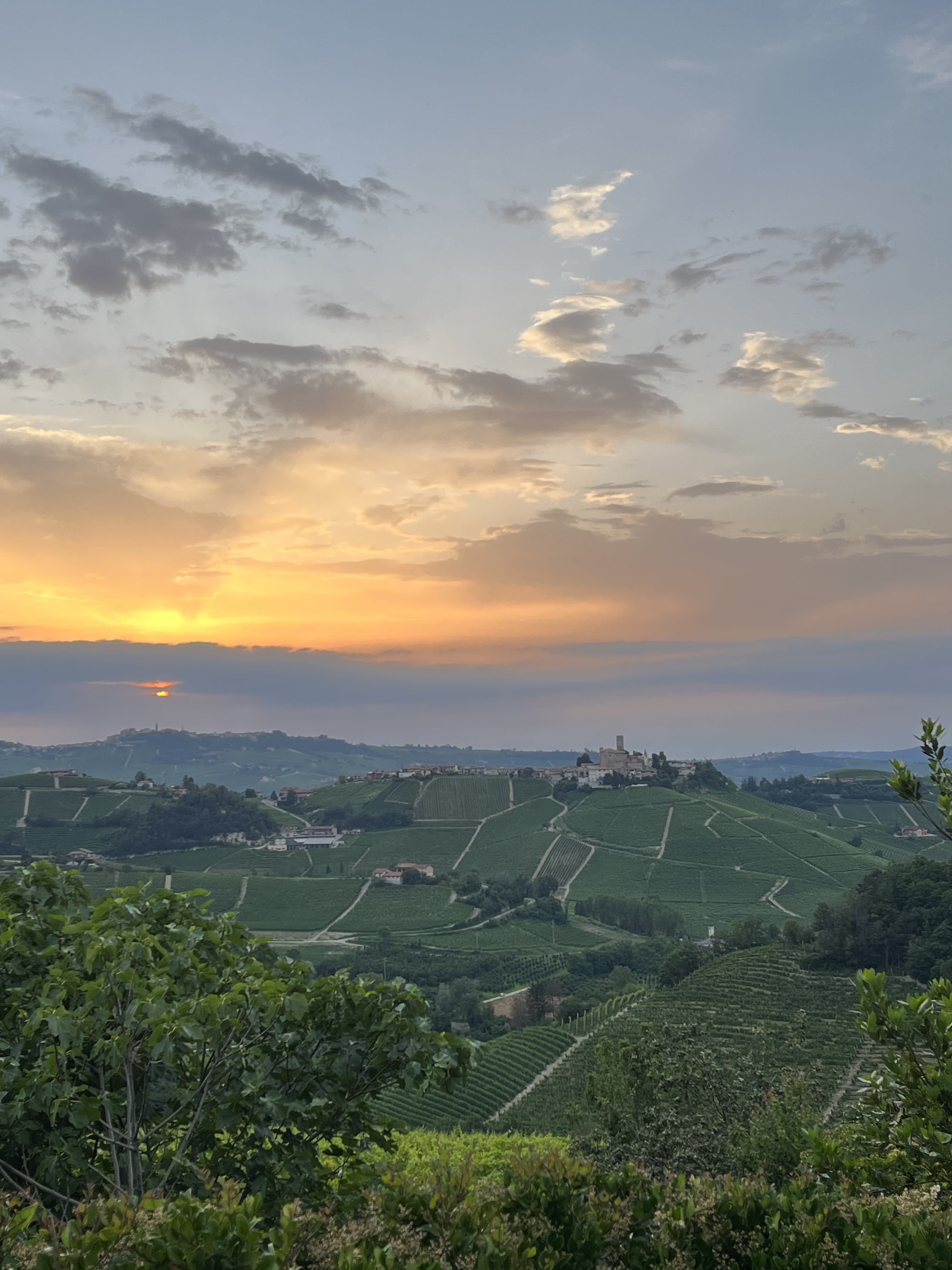 Advisor - Family-Friendly Wine Tasting in Barolo: A Guide to Piedmont with Kids