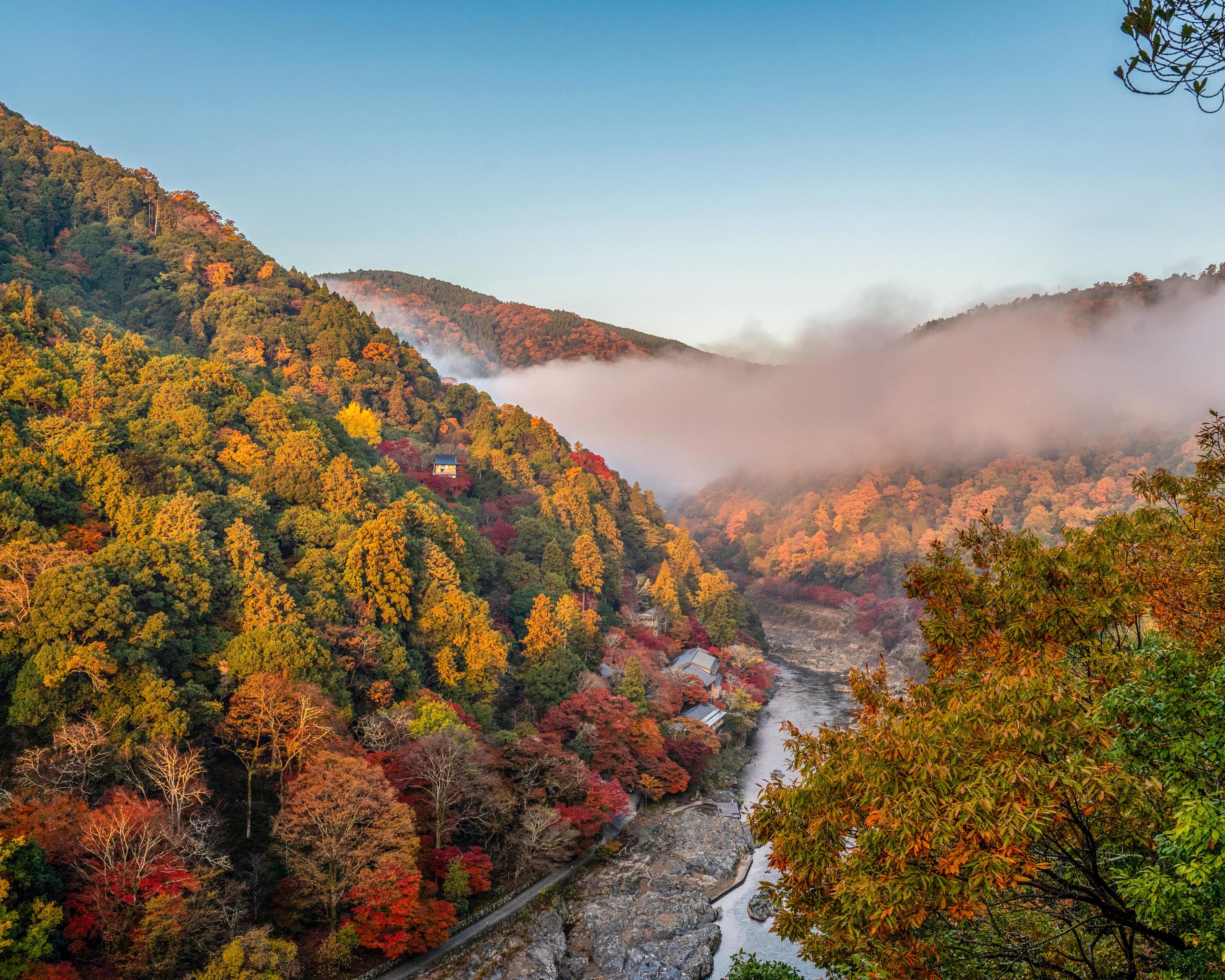 Advisor - A Guide to Autumn in Japan: Tokyo & Kyoto