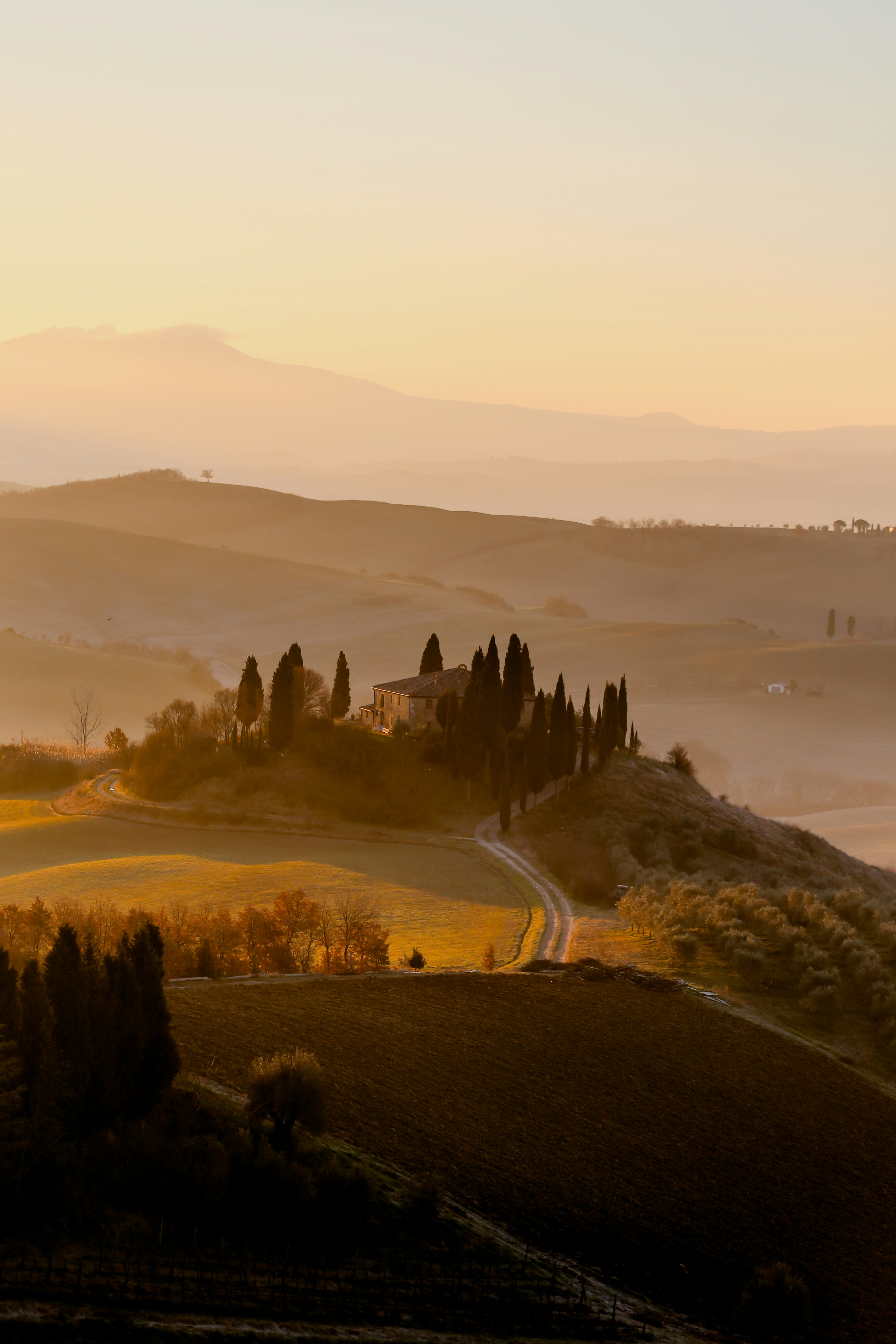 Advisor - Timeless Tuscany: A Curated Travel Guide