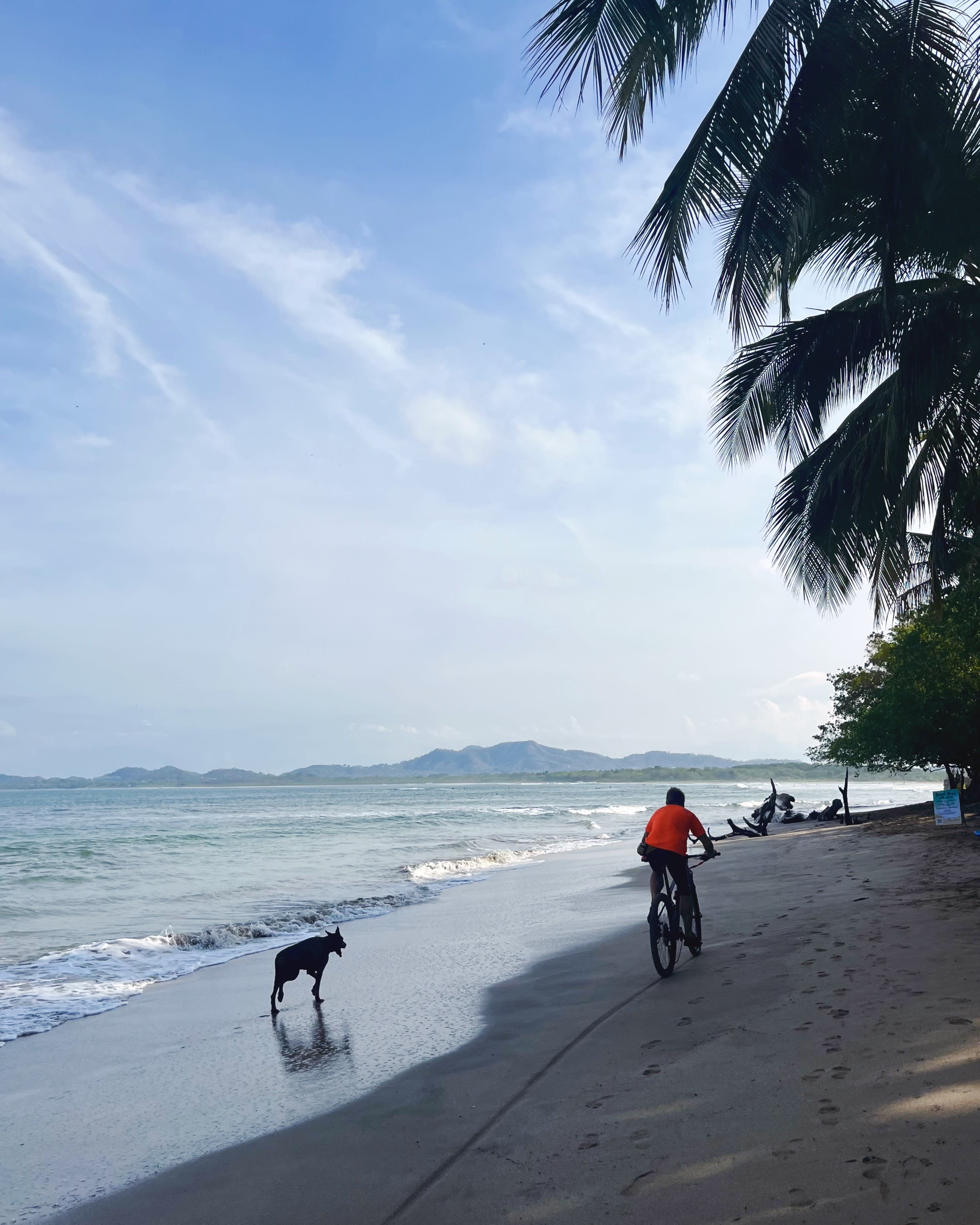 Advisor - Tamarindo, Costa Rica: A Guide to the Beach Town of Guanacaste