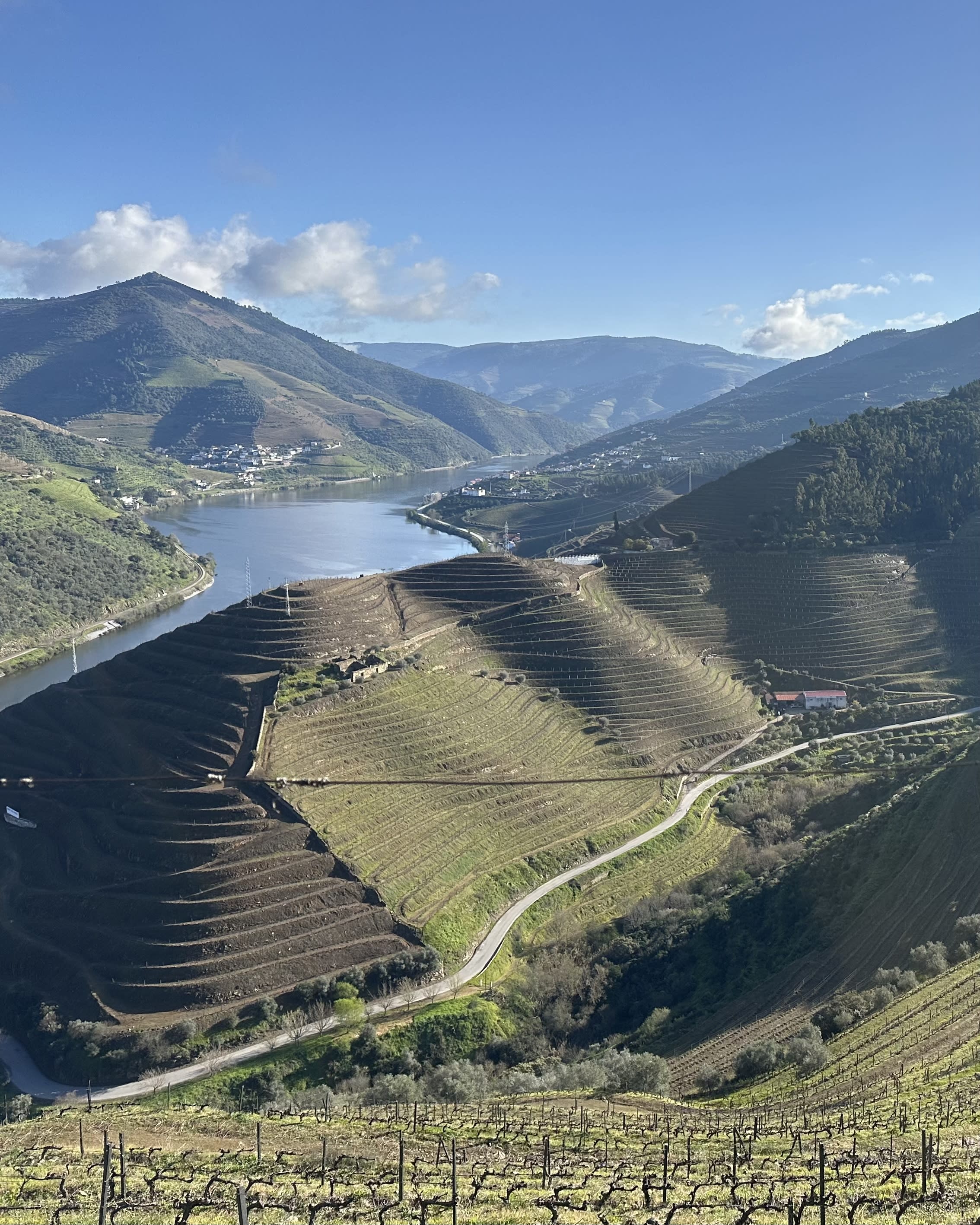Douro Valley Defined: Authentic, Understated Luxury in a Storied Landscape