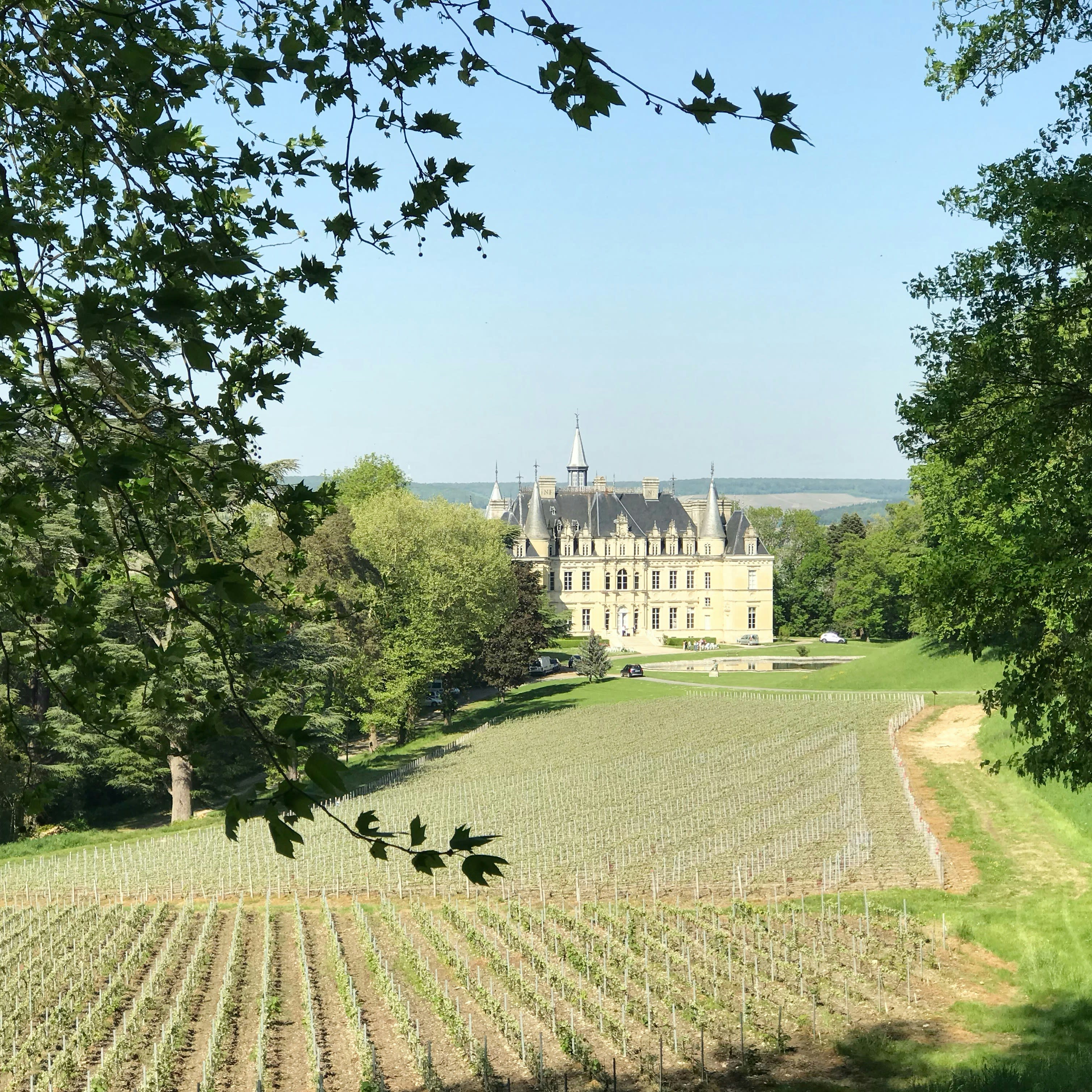Advisor - The Loire Valley: A Romantic Weekend Escape from Paris