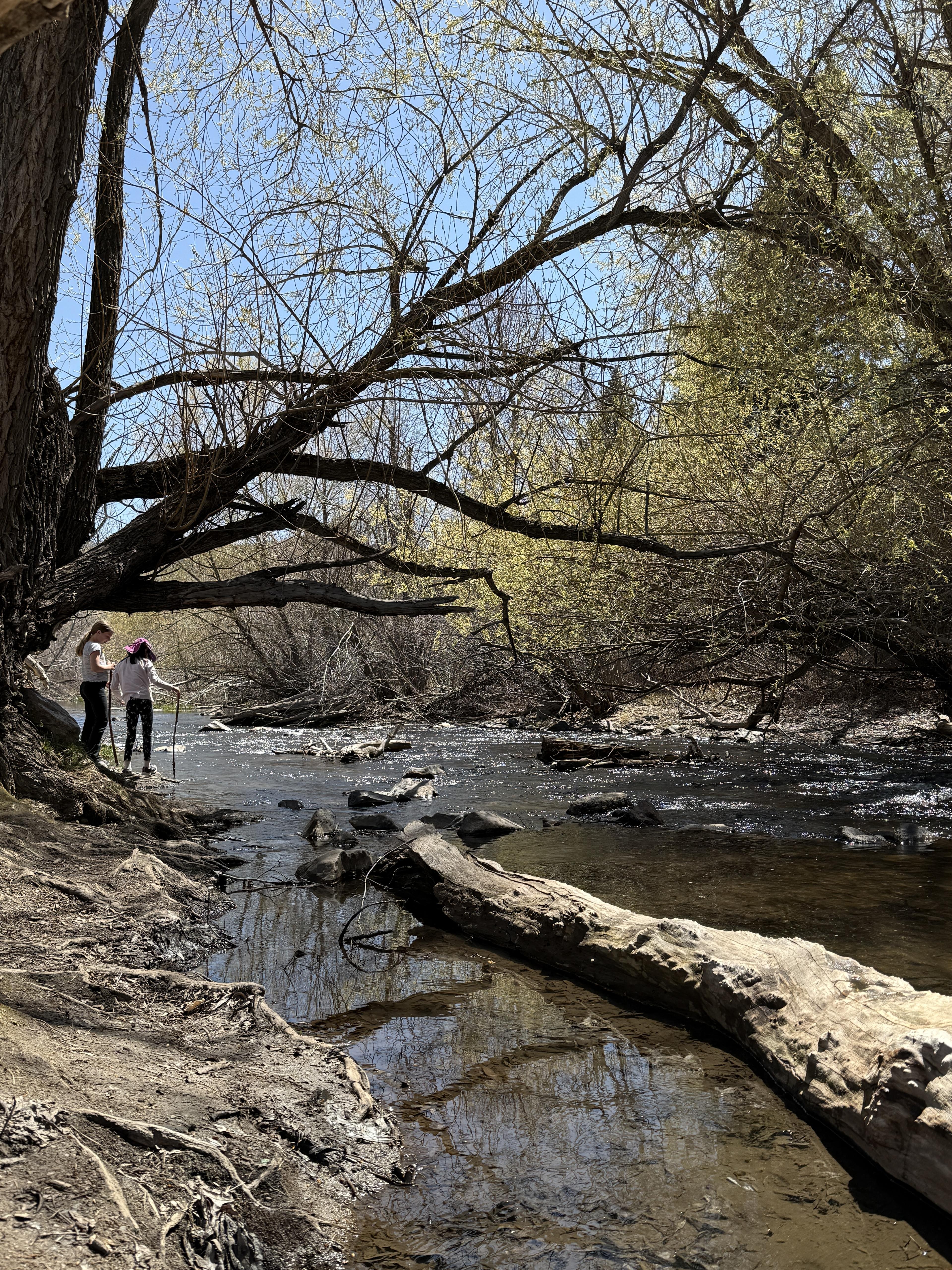 Advisor - Denver: Where Summer Outdoor Adventure Meets Culinary Culture
