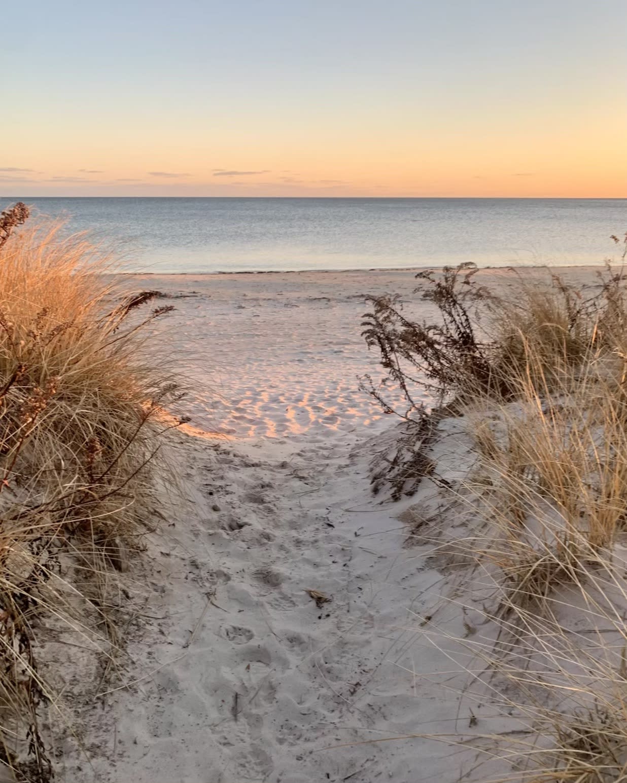 Advisor - Summer Vacation Guide to Cape Cod, Nantucket, & Martha's Vineyard