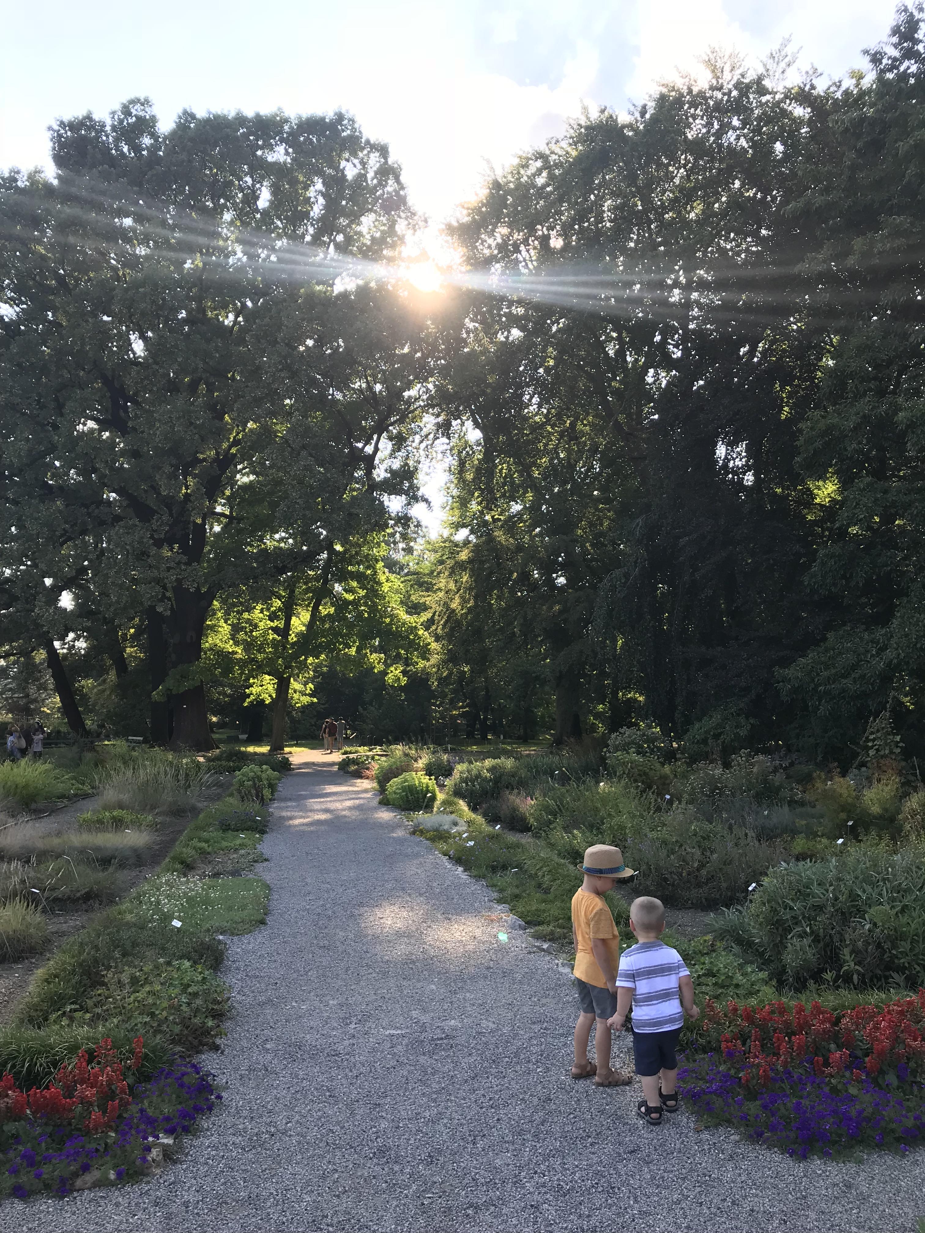 Advisor - Get off the Beaten Path With Your Family: Zagreb, Ljubljana, and Venice