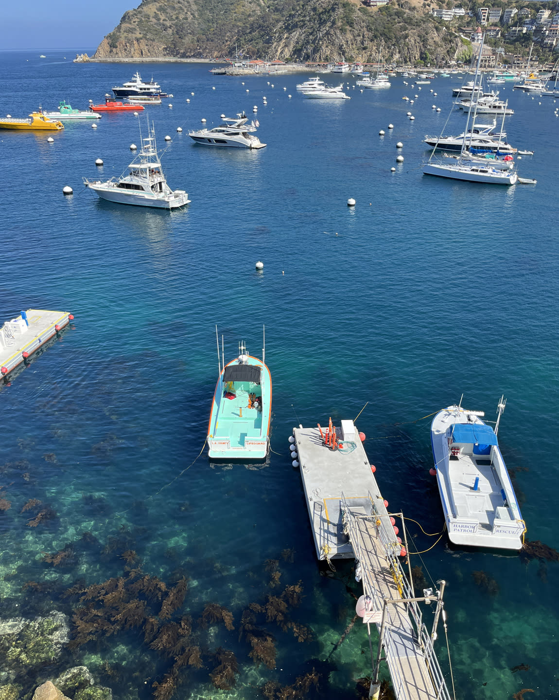 Advisor - A Catalina Island Getaway