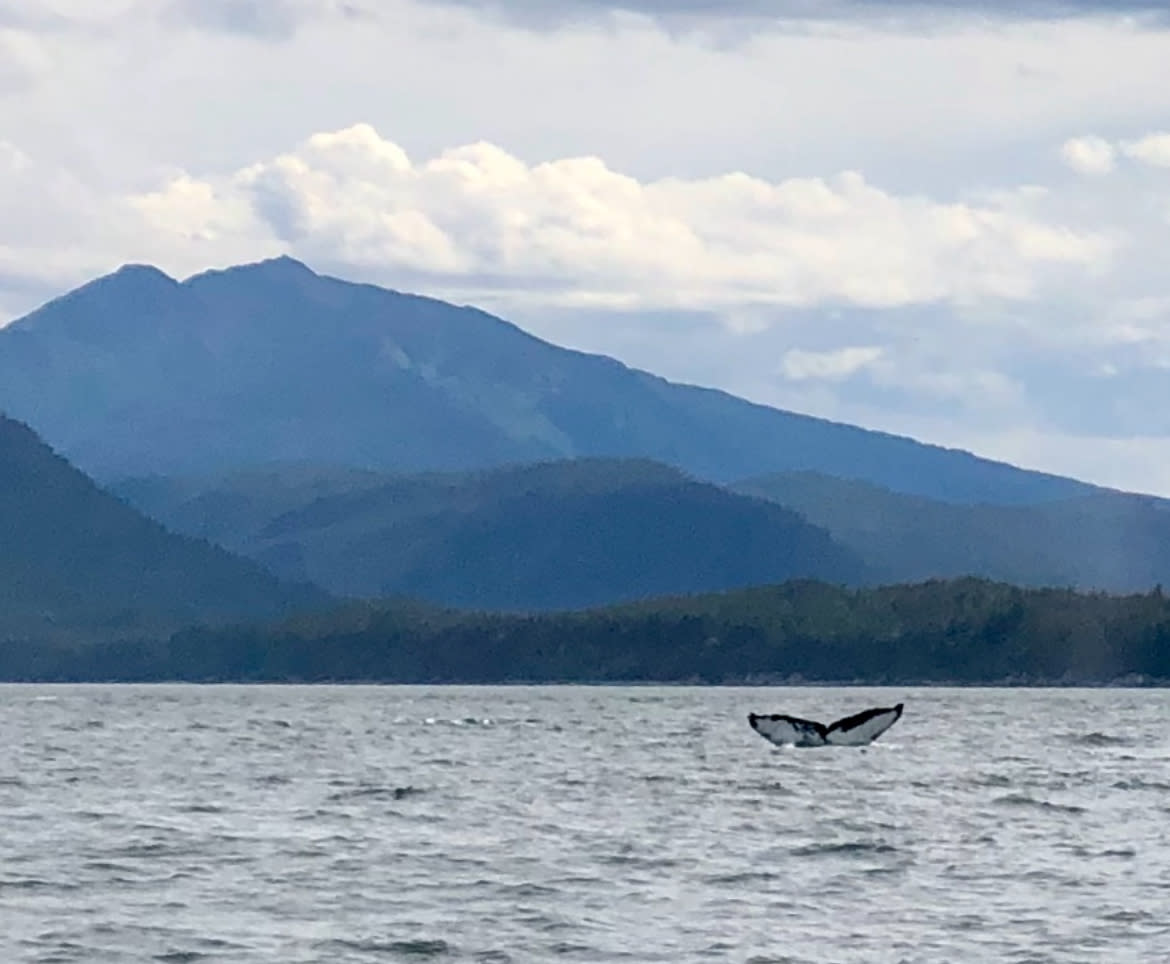 Cruise Port Essentials: Exploring Juneau