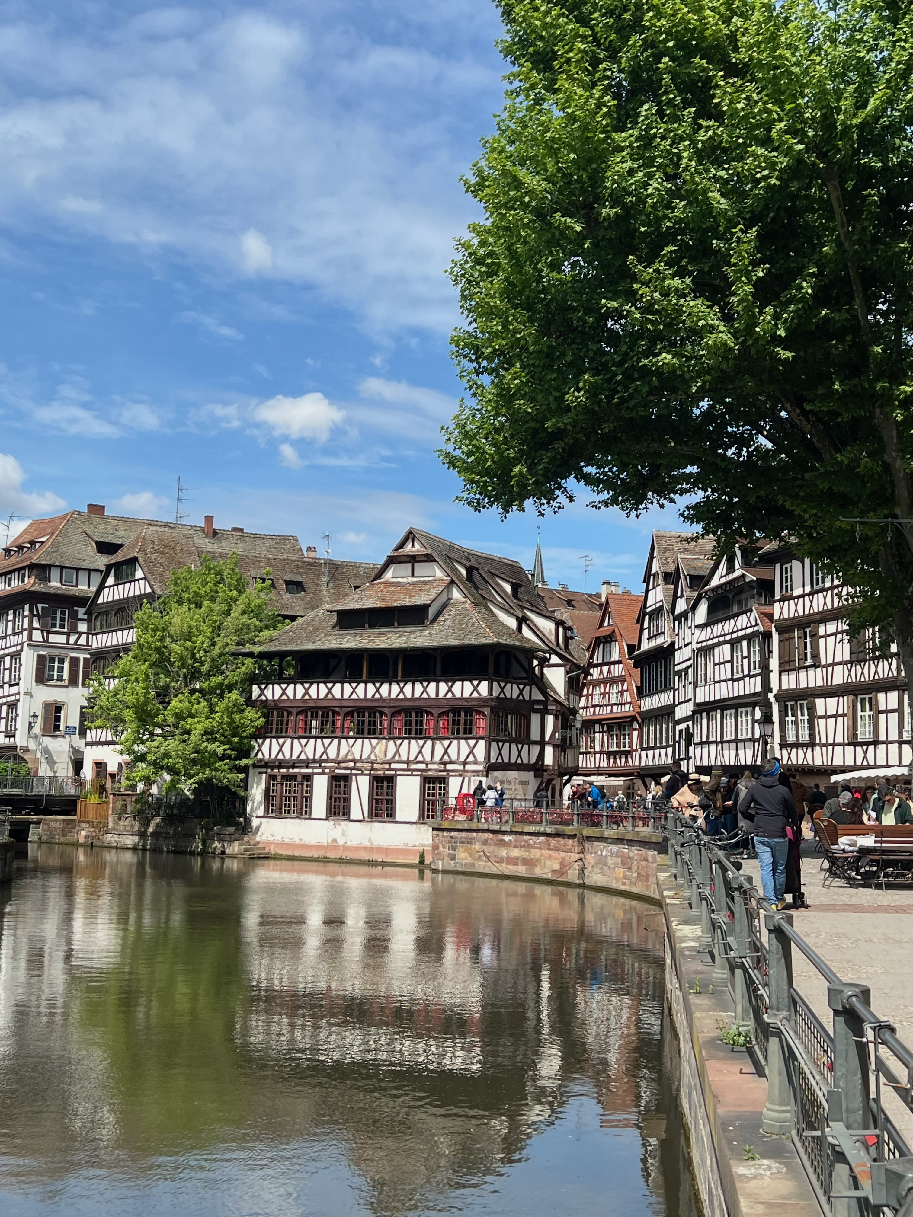 Advisor - Strasbourg, France: A Multicultural Experience