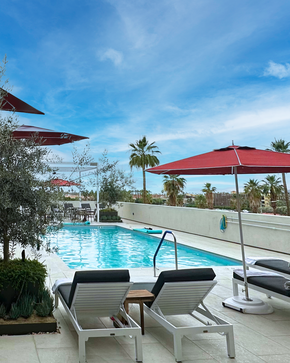 Stillness in the Sun: Escaping to the Adults-Only Pool at Thompson Palm Springs, by Hyatt
