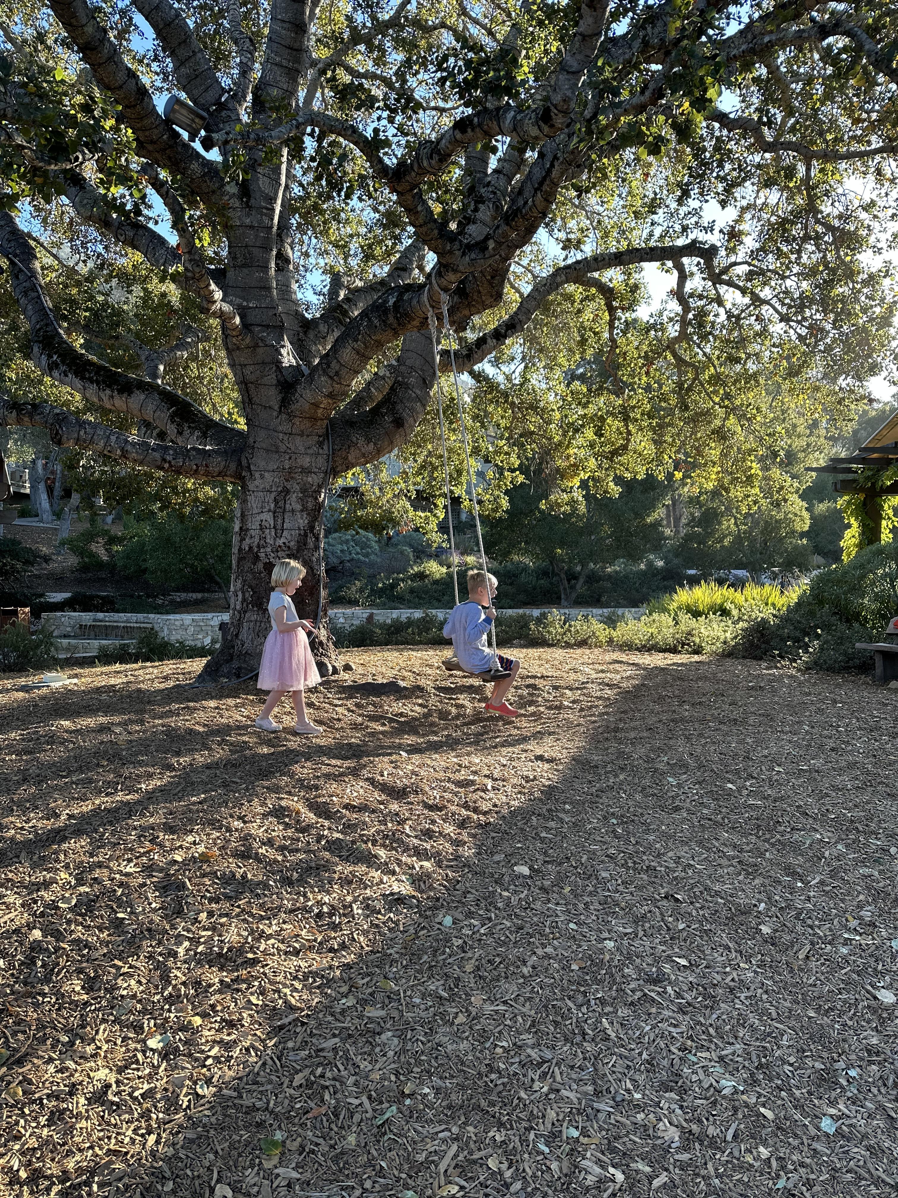 Carmel Valley Ranch: Rustic Luxury & Family Magic in the California Hills