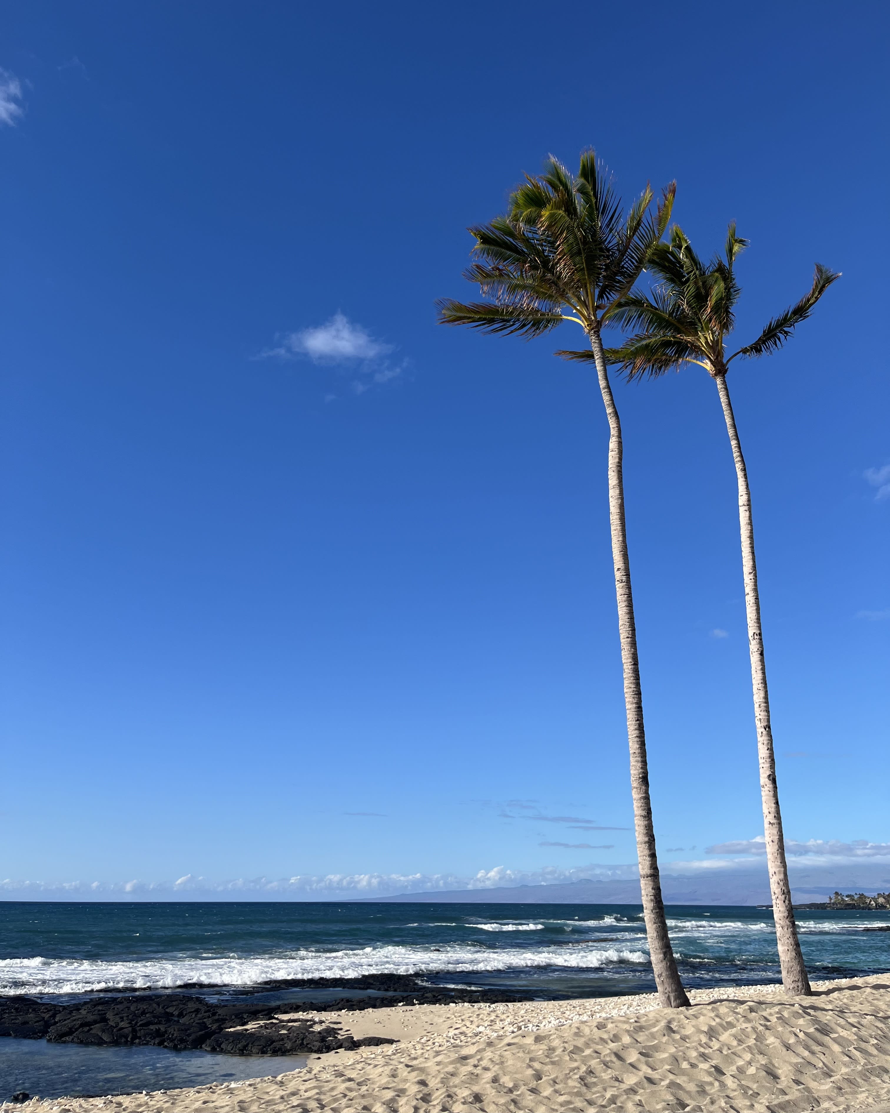 Advisor - Hawai'i: Your Seven-Day Adventure on the Big Island