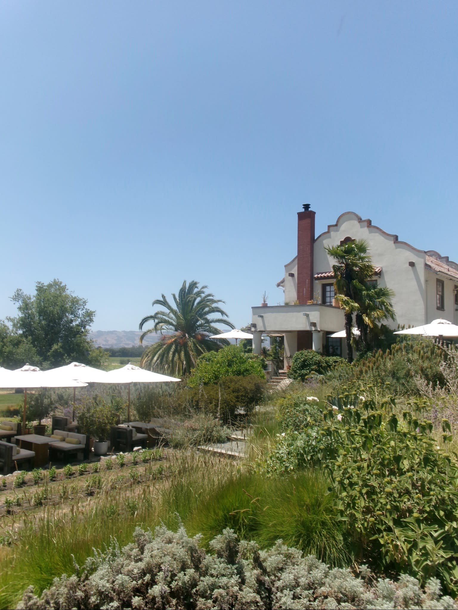 Advisor - Uncorking Memories: A Napa Valley Escape for Two Generations