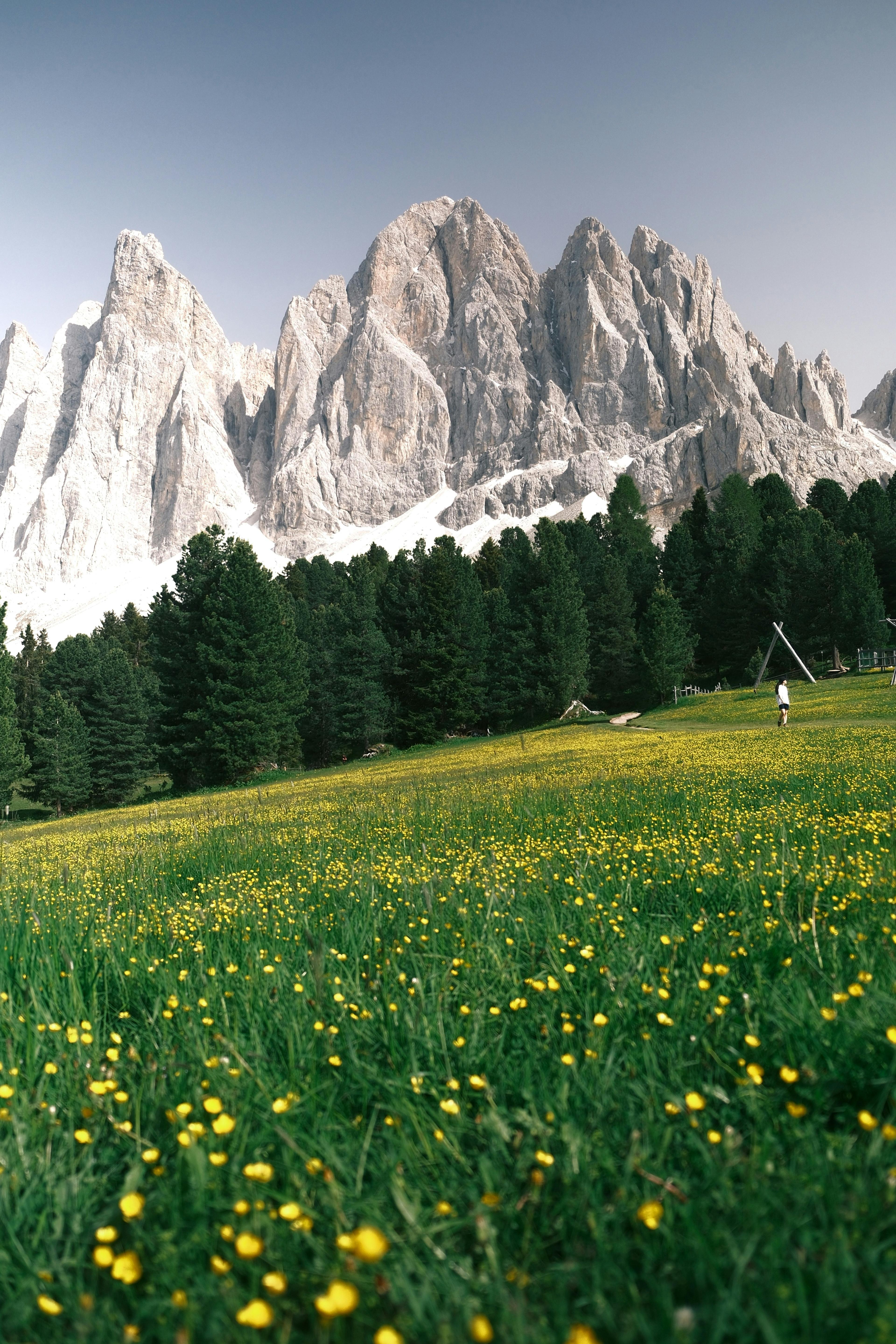 Advisor - The Dolomites: 4 Days of Alpine Magic