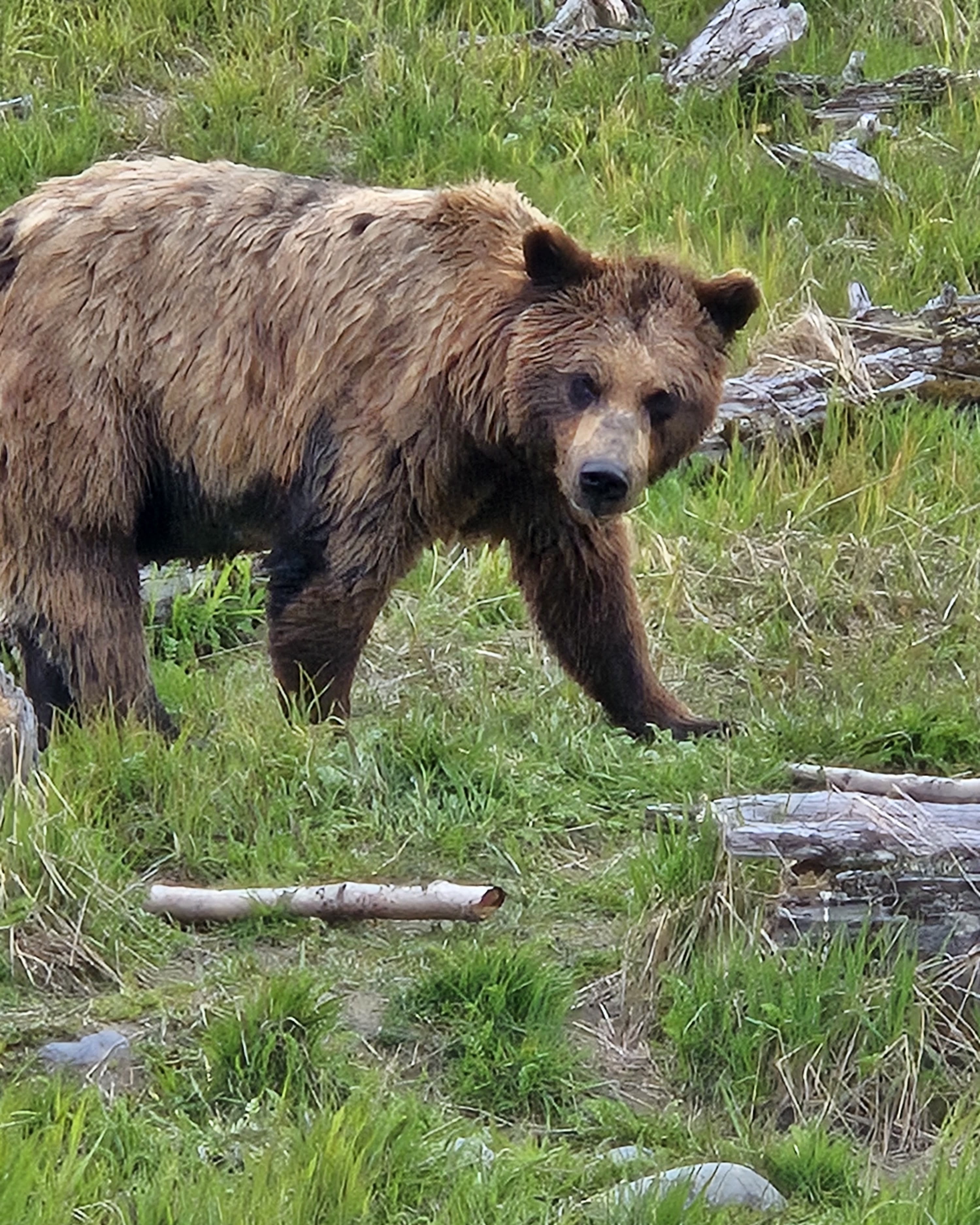 Advisor - The Last Frontier: A Guide to Alaska with Kids