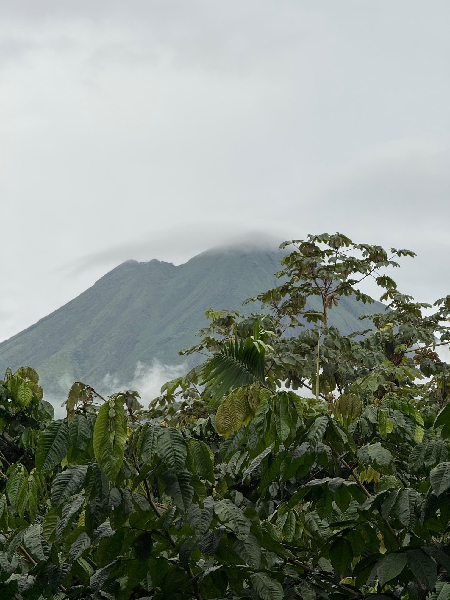 Advisor - Your Guide to Exploring the Best of Costa Rica