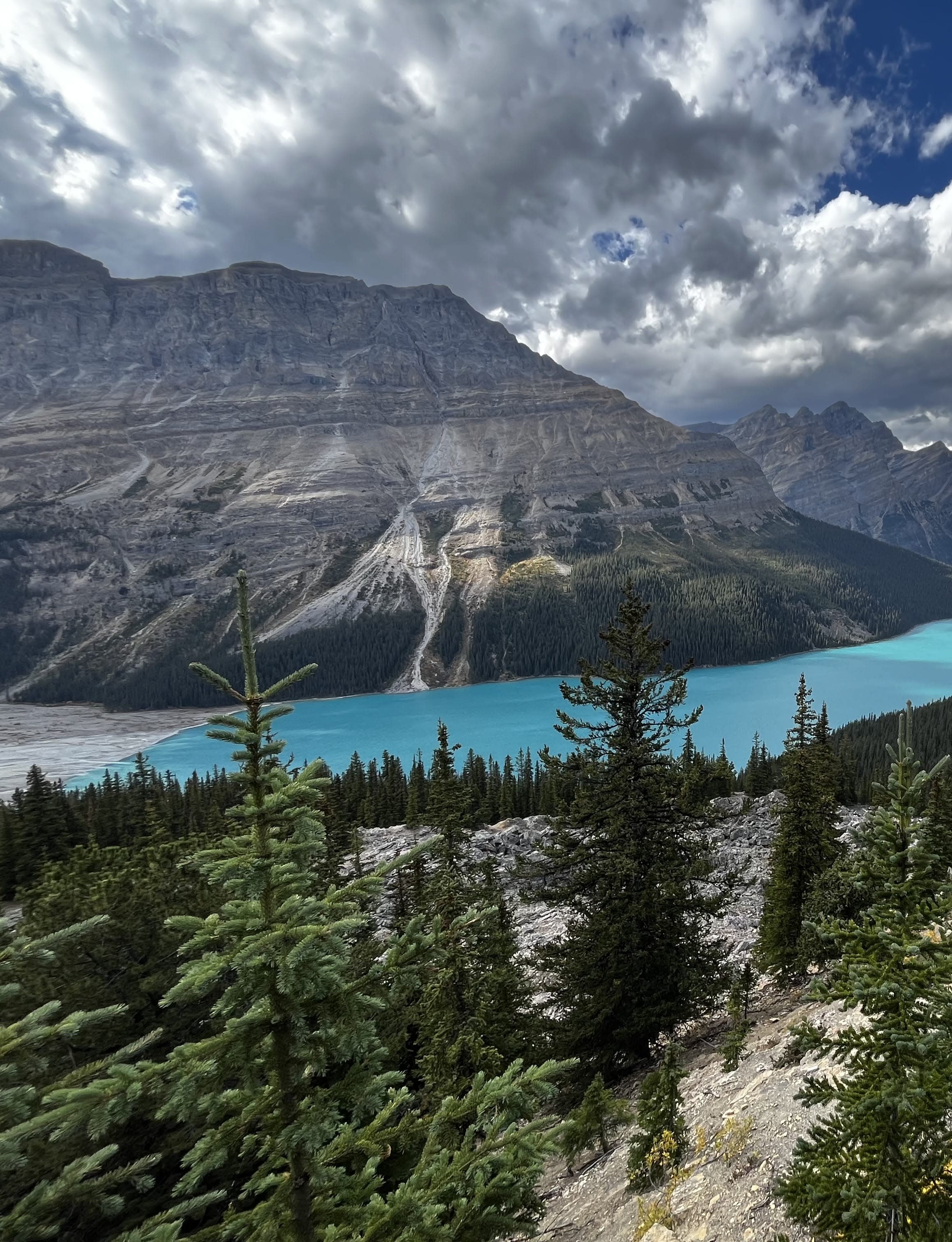 Advisor - Wilderness & Wonder: 5 Days in Banff & Canmore, Canada