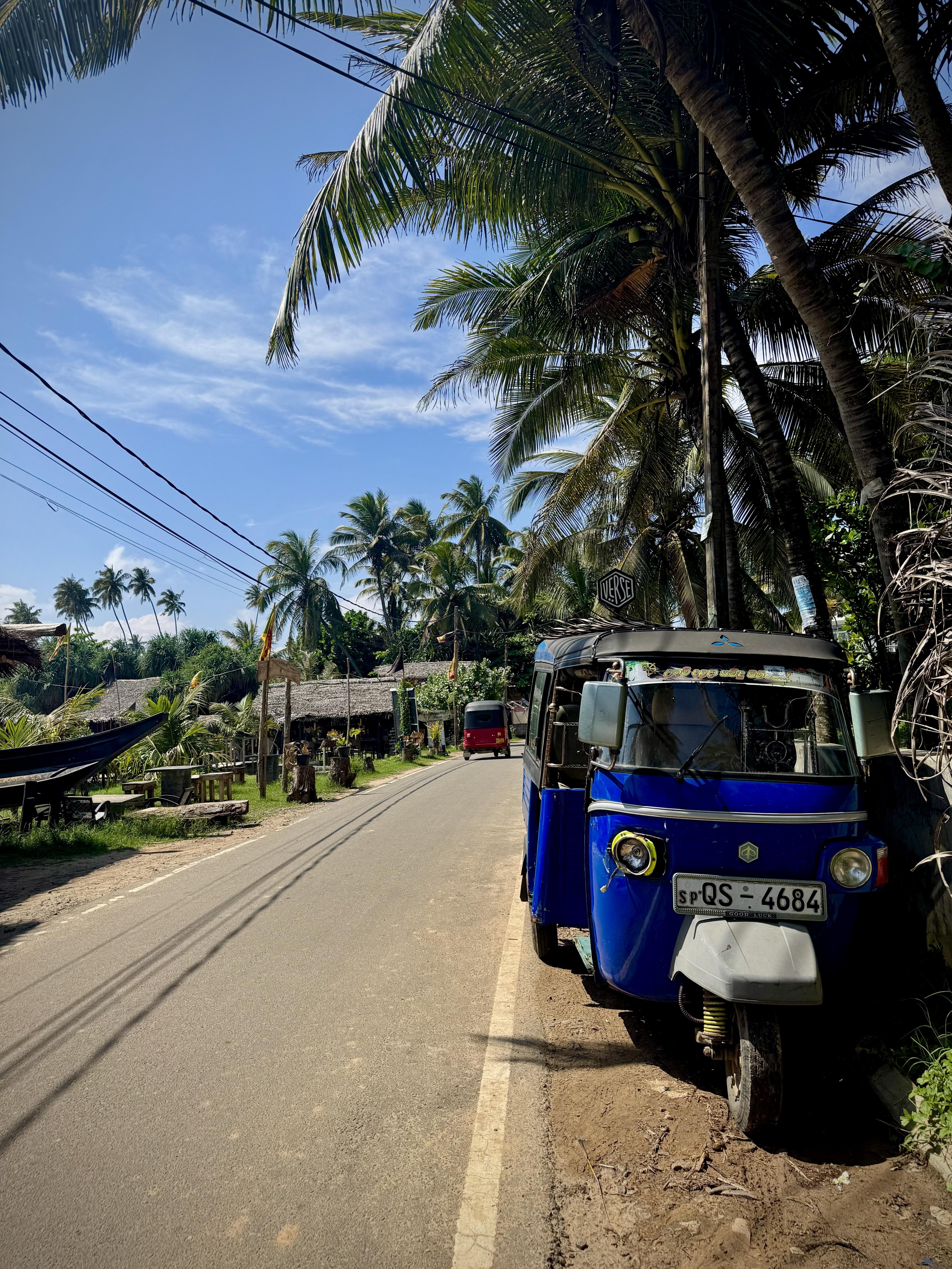 Advisor - Surf, Safari & Sightseeing: Exploring Sri Lanka’s Southern Coast