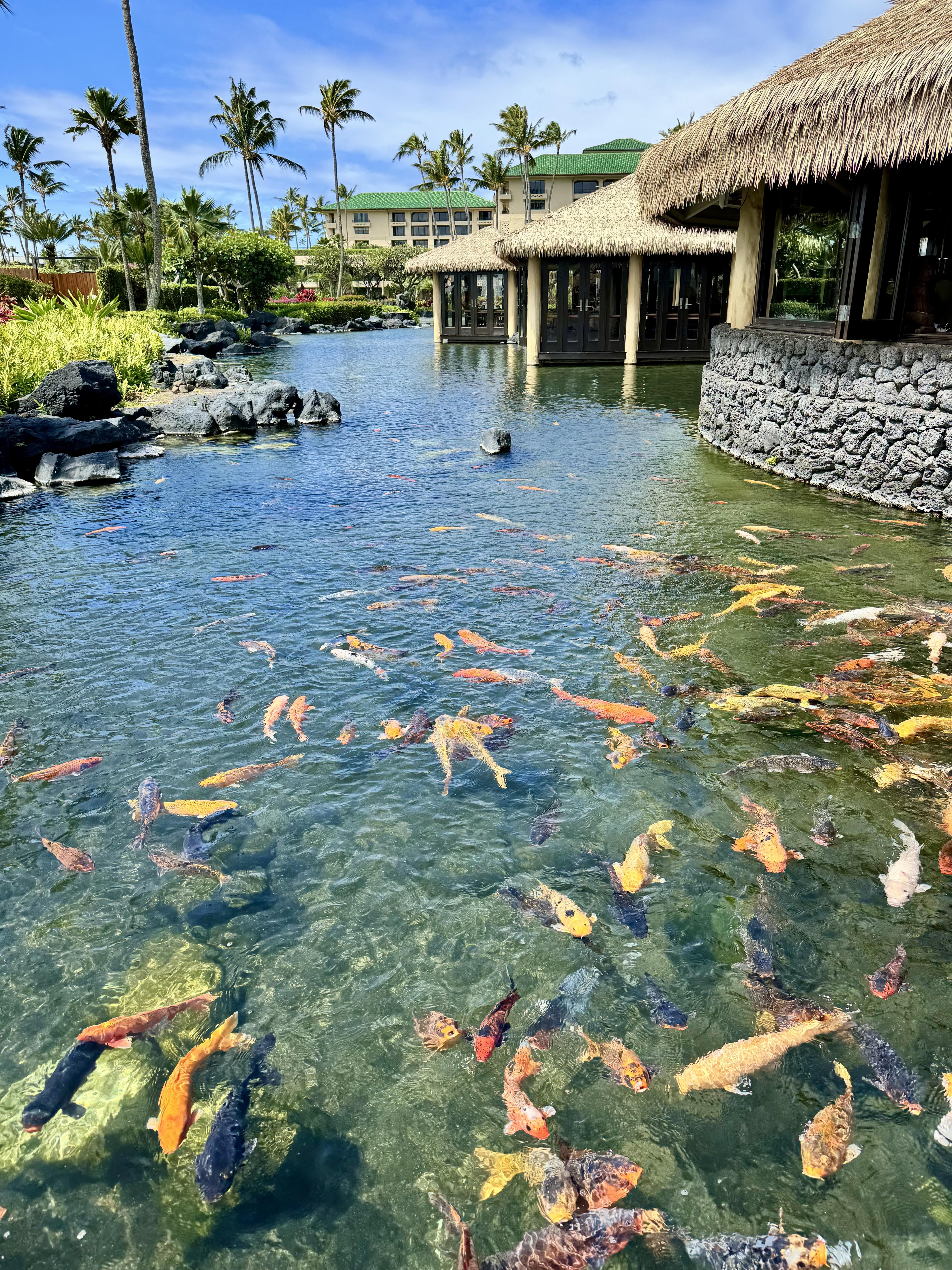 Kauai Called, I Answered: at the Grand Hyatt