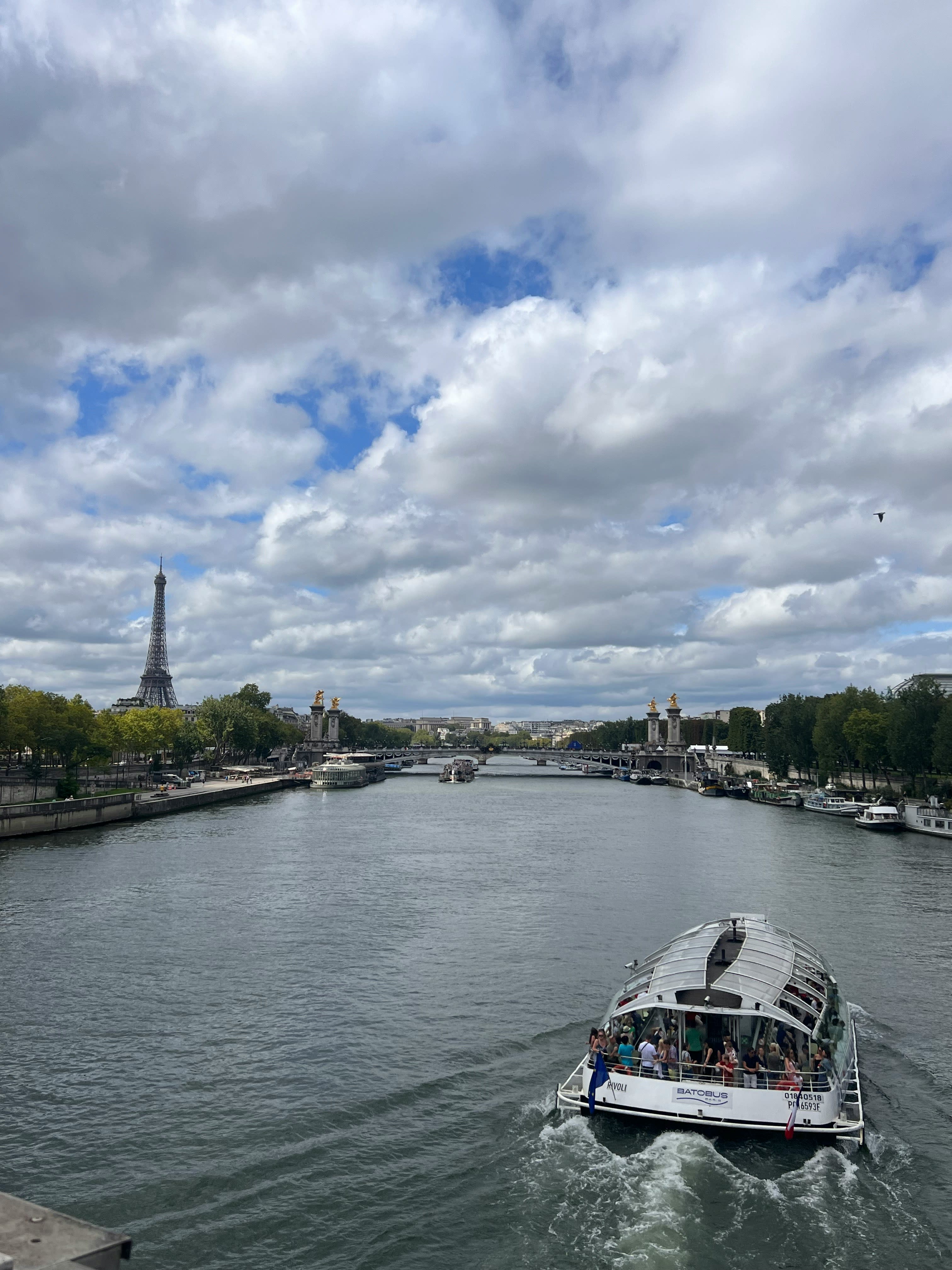 Advisor - Hop, Glide, Repeat: A Ride Through Paris on the Batobus
