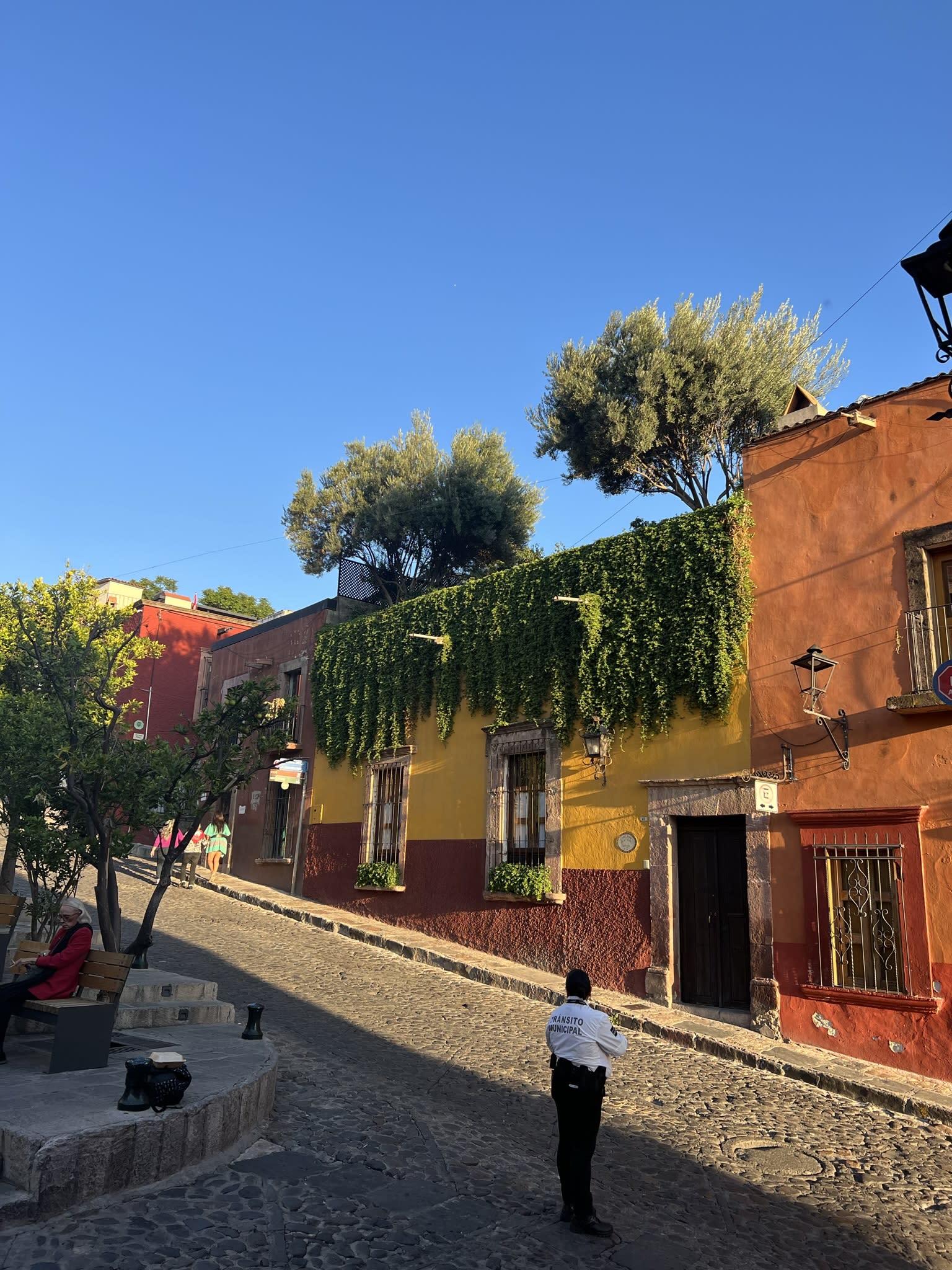 Advisor - The Colors of San Miguel de Allende