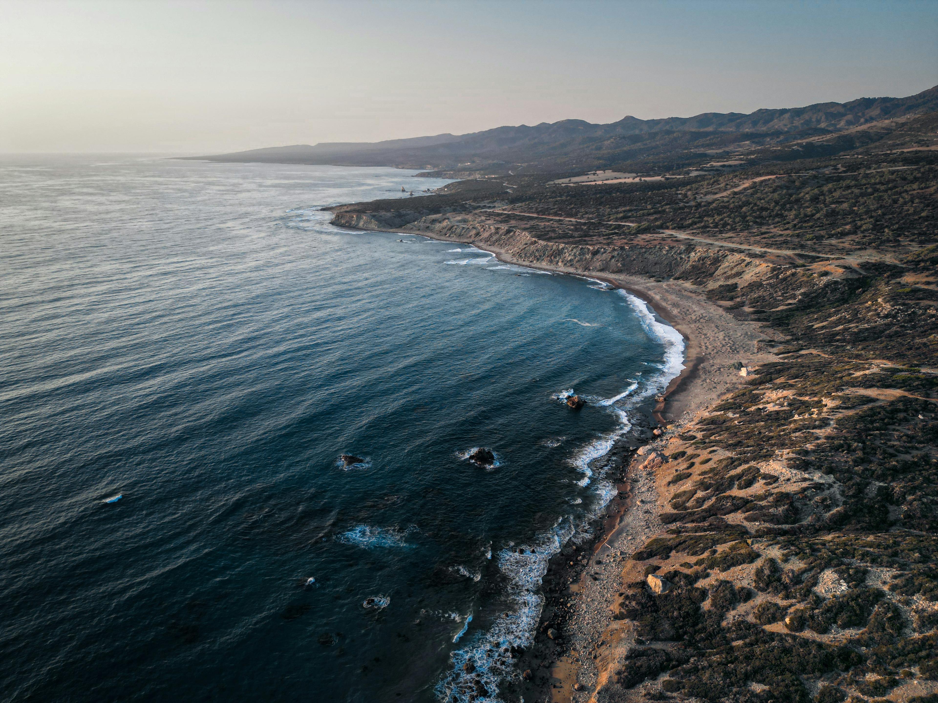 Advisor - Cabo’s Untamed Beauty: The Pacific Side