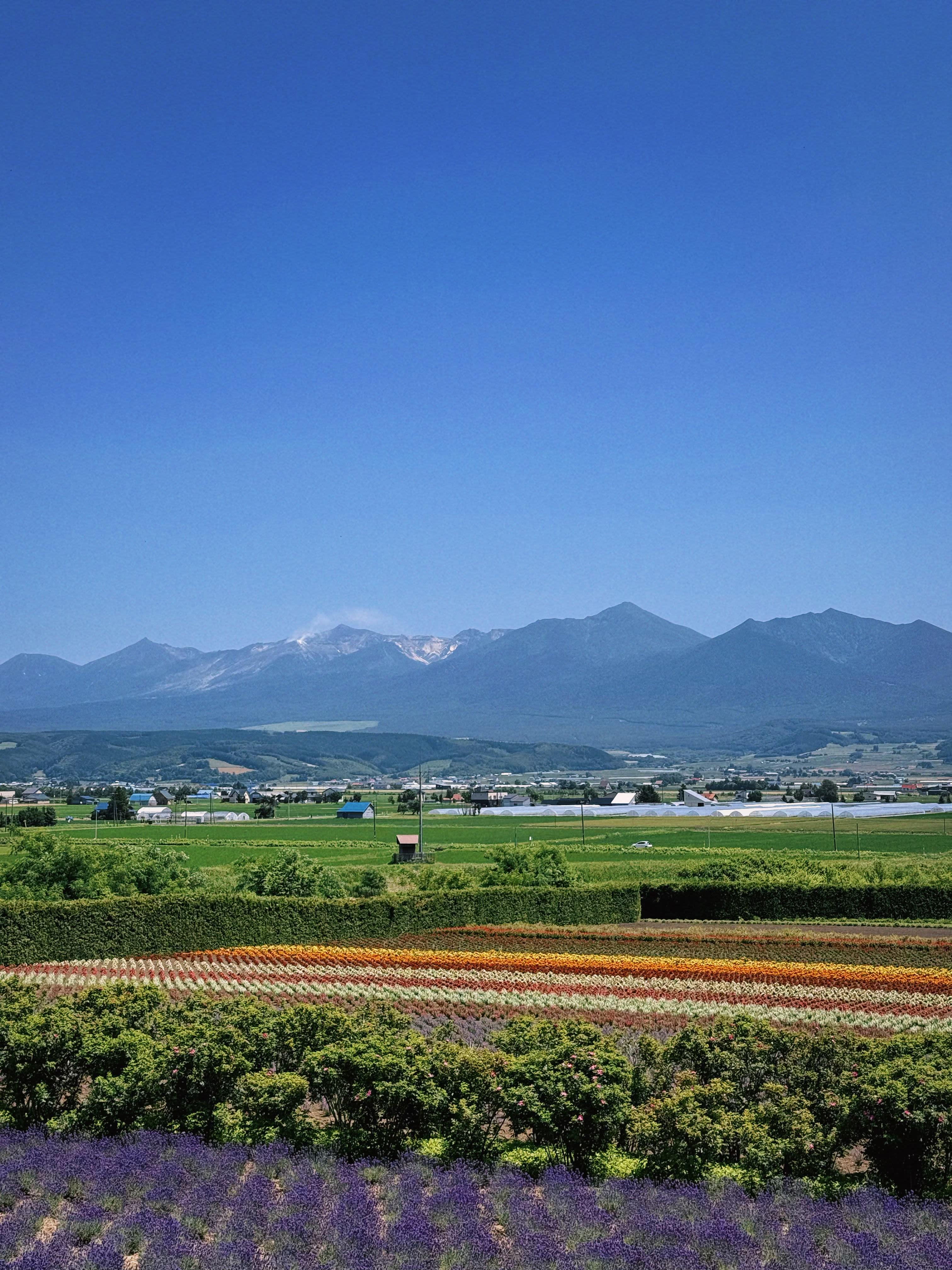 Beat the Heat in Hokkaido: Best Summer Spots
