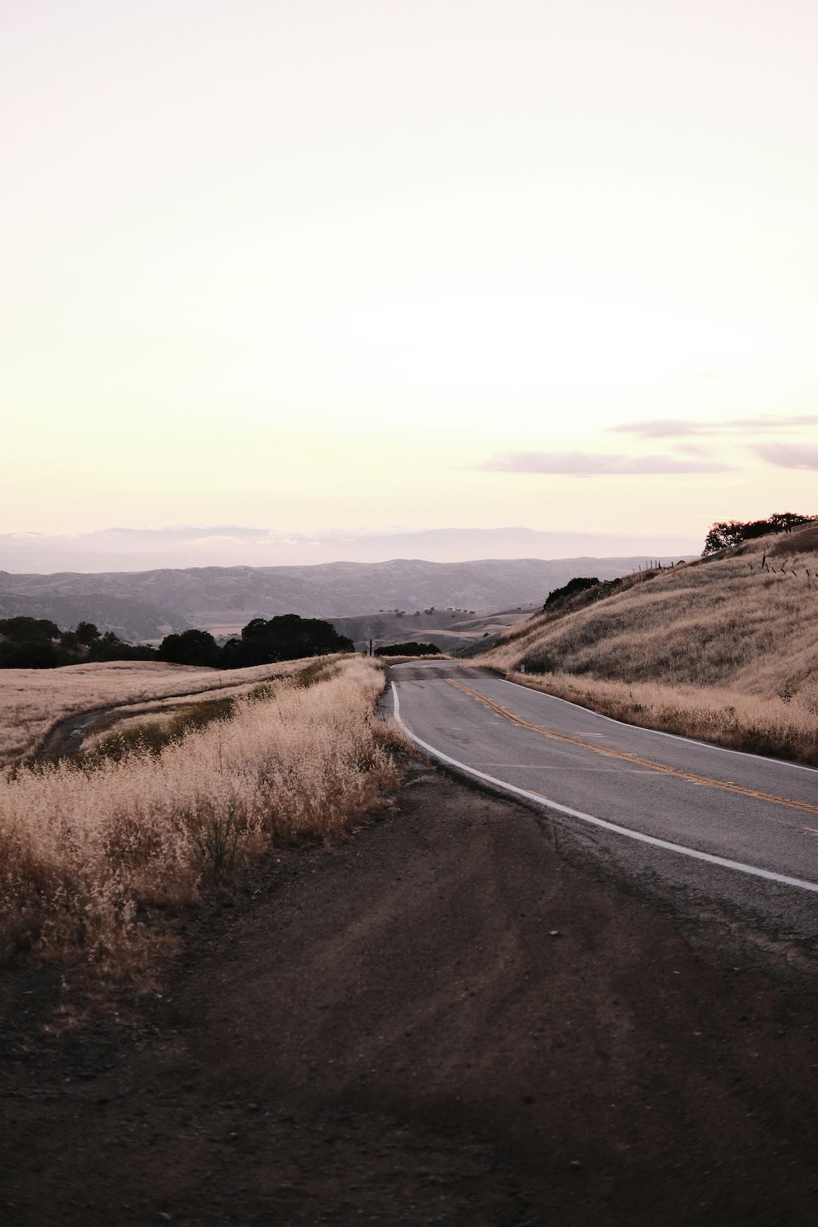 Advisor - The Backroads of Sonoma: 3 Days of Eating, Drinking & Wandering