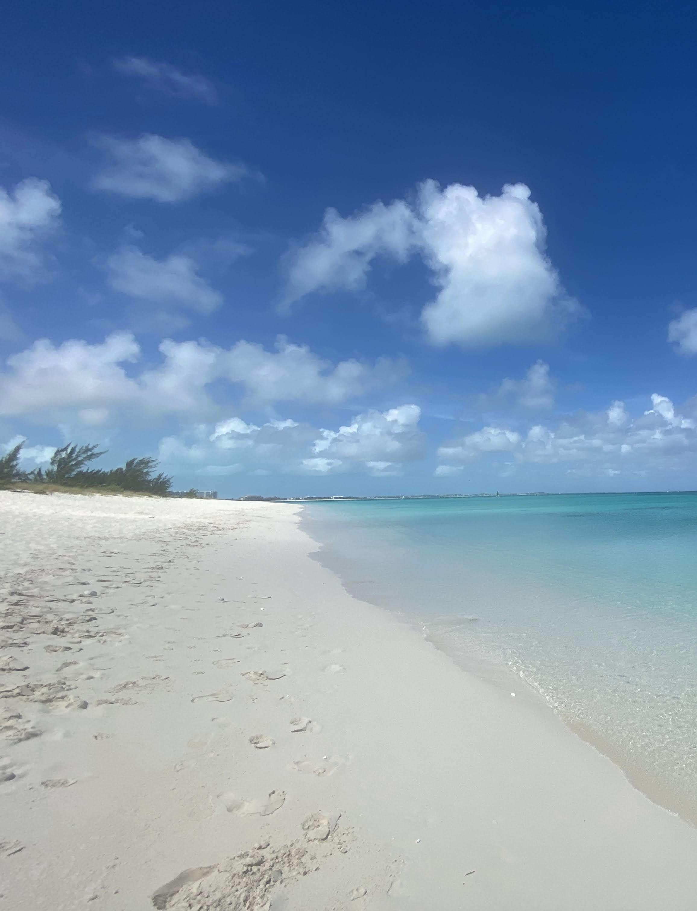 Advisor - Provo Eats: From Conch Shacks to Fine Dining